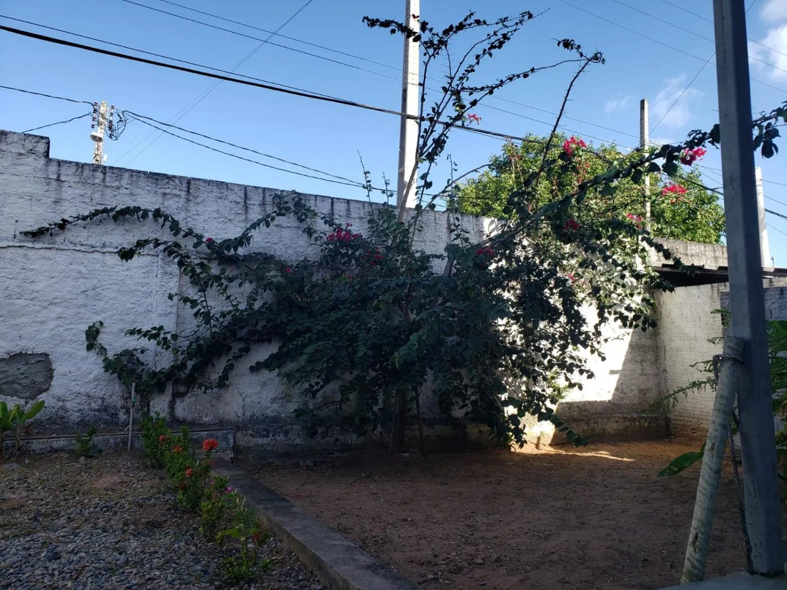 Garden view in Iron Flat
