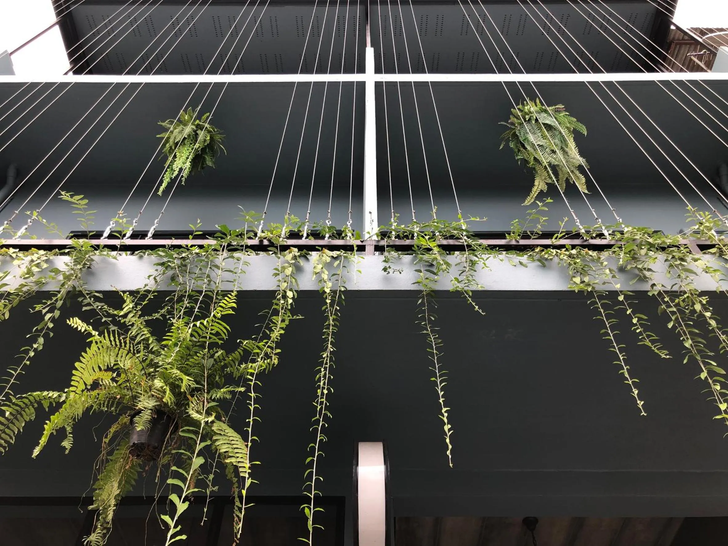 Goodnight Poshtel + Free Netflix