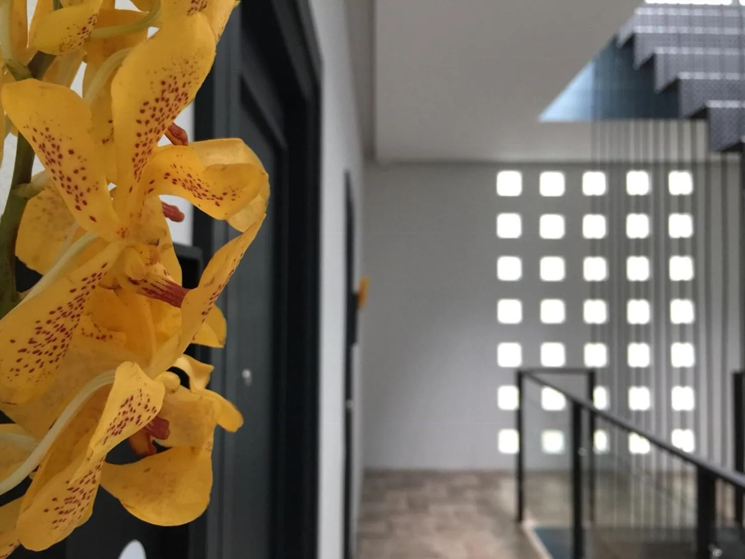 Goodnight Poshtel + Free Netflix