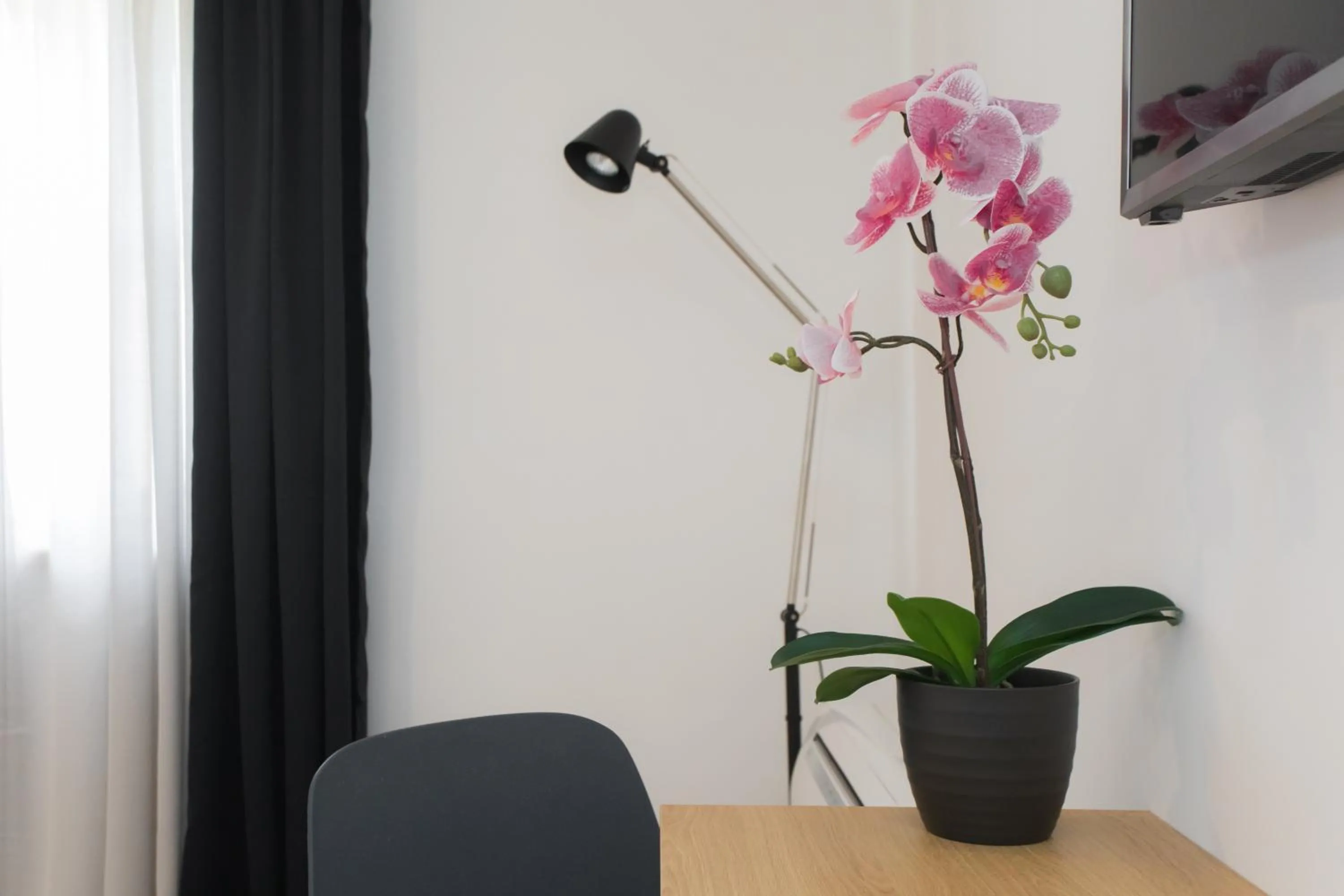 Rooms Kala