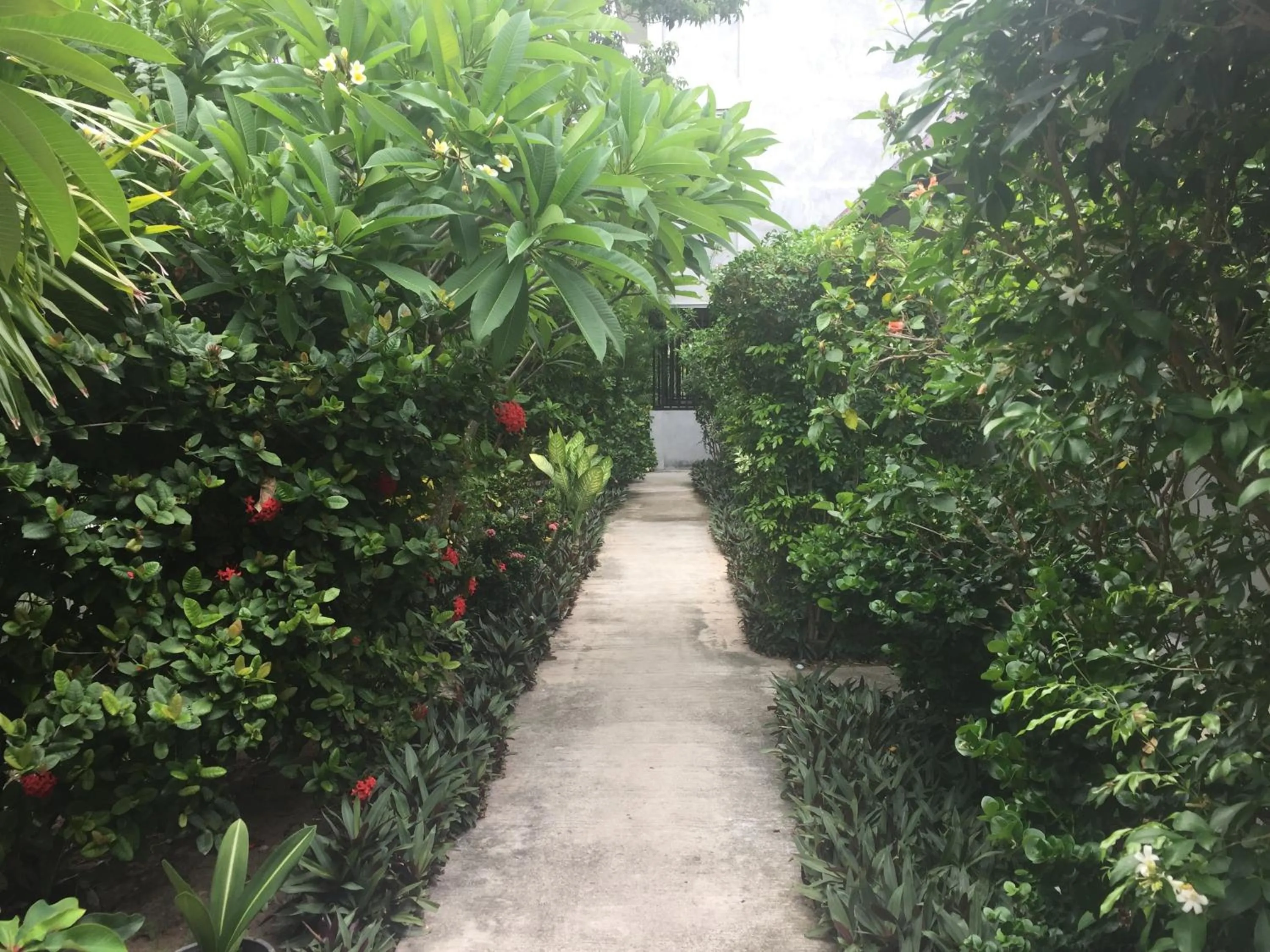 Other in Baan Suan Ta Hotel