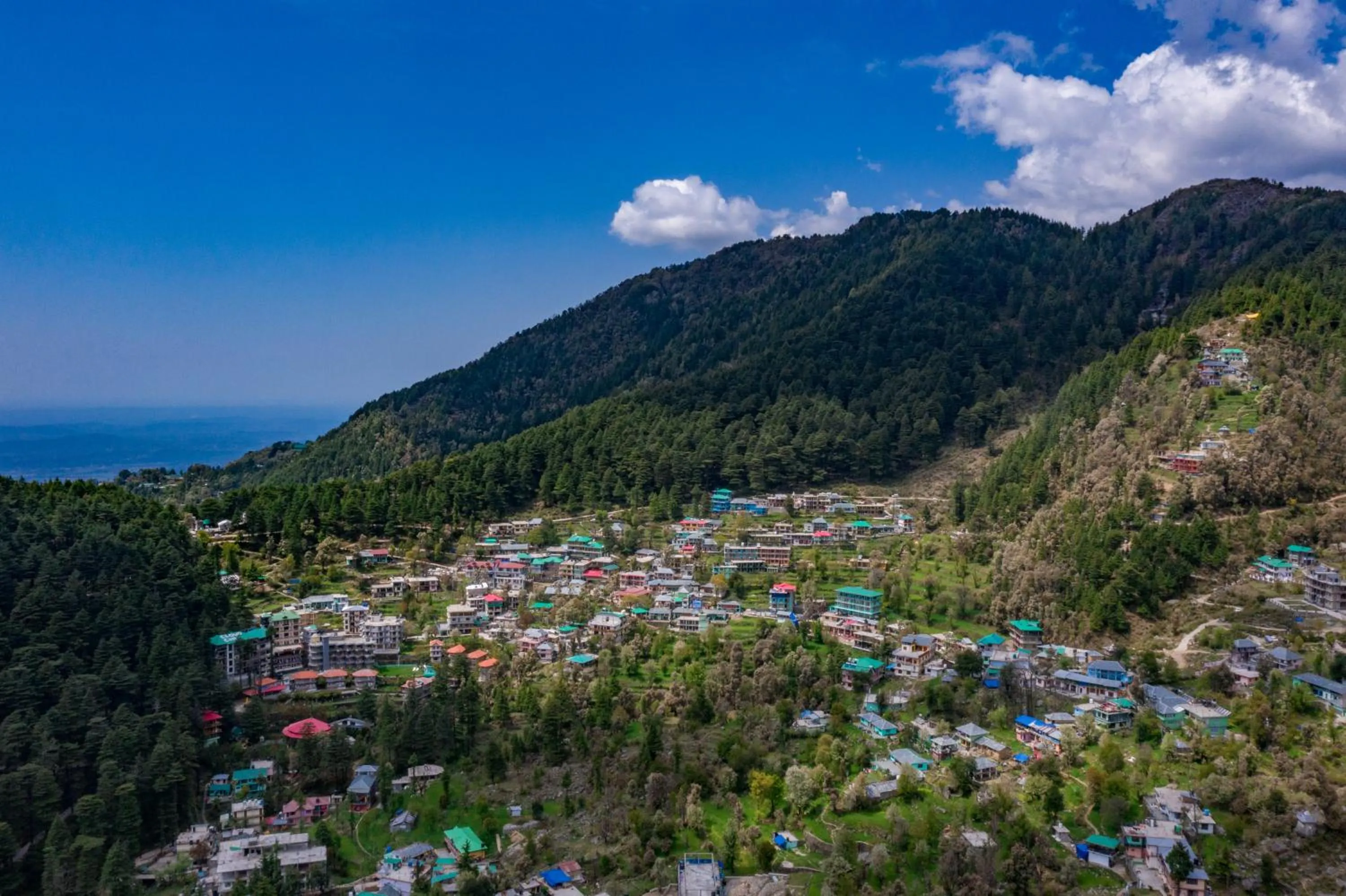 Alt Life Stays - Dharamkot Mcleodganj