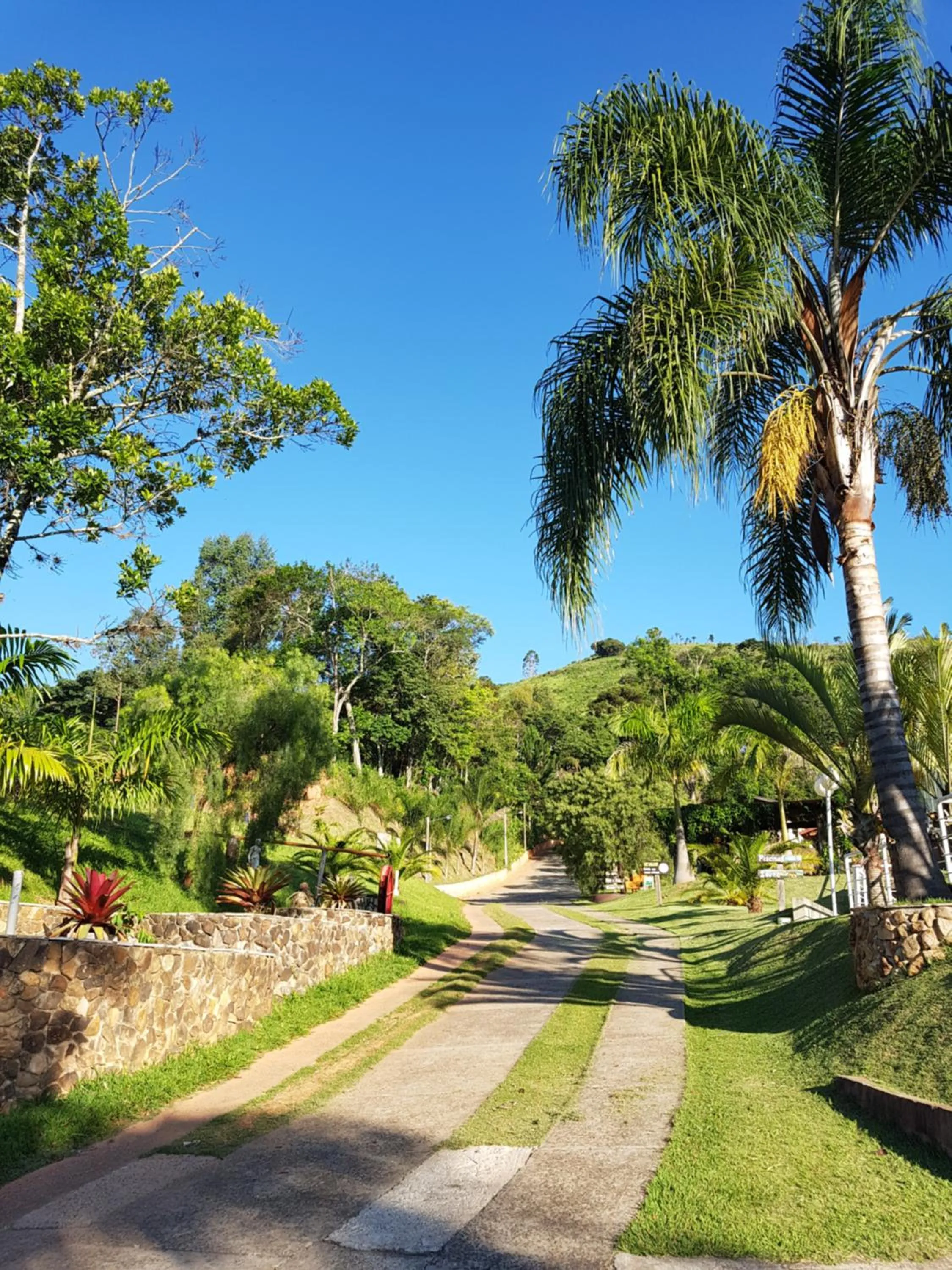 Garden view in Pousada Nefelibatas