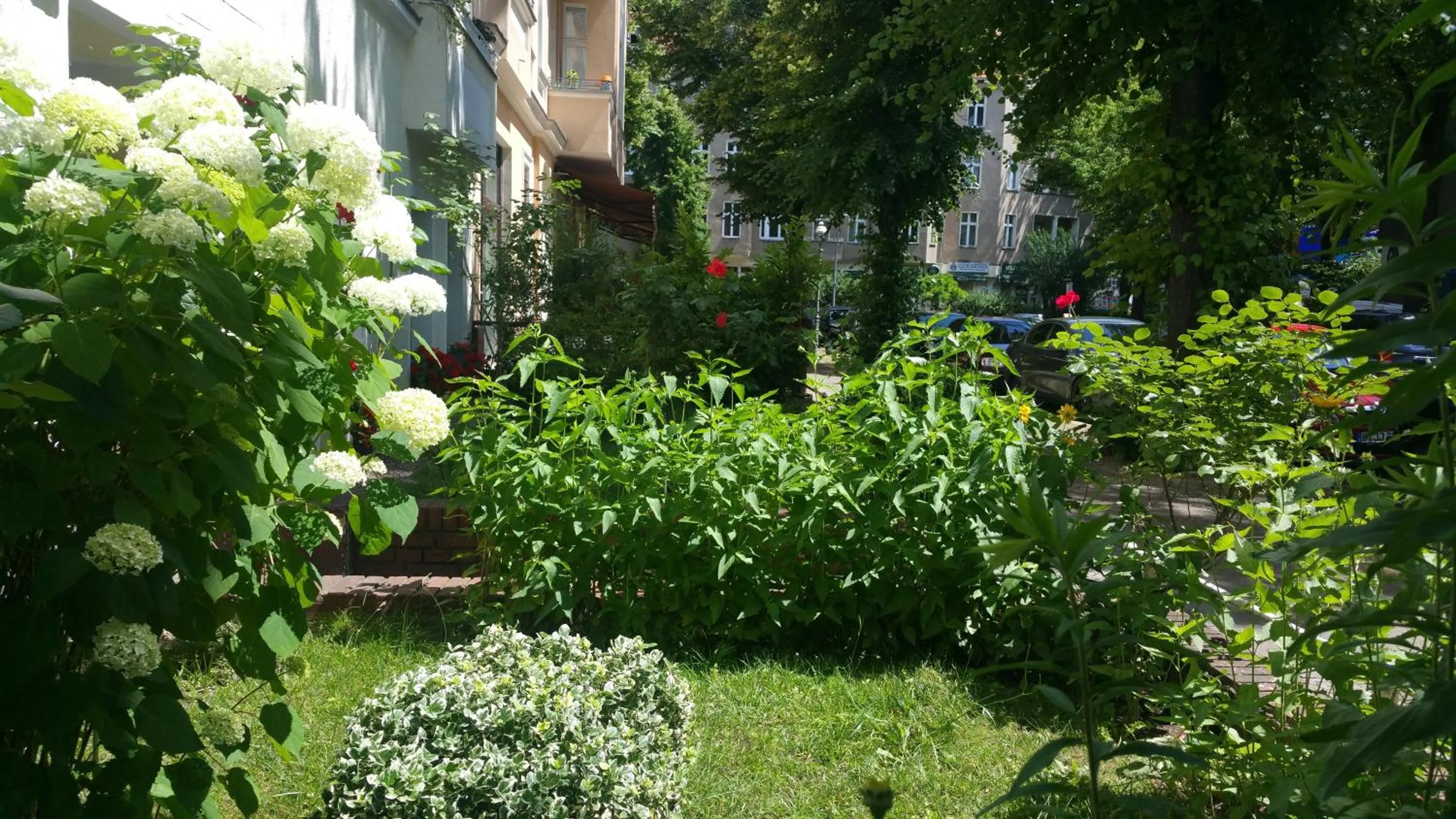 Neighbourhood in Pension Tempelhof