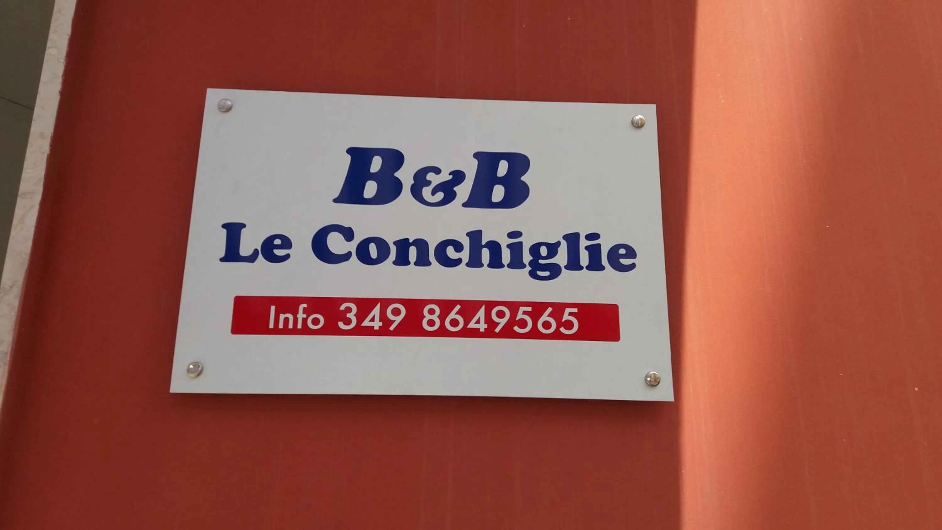B & B Conchiglie
