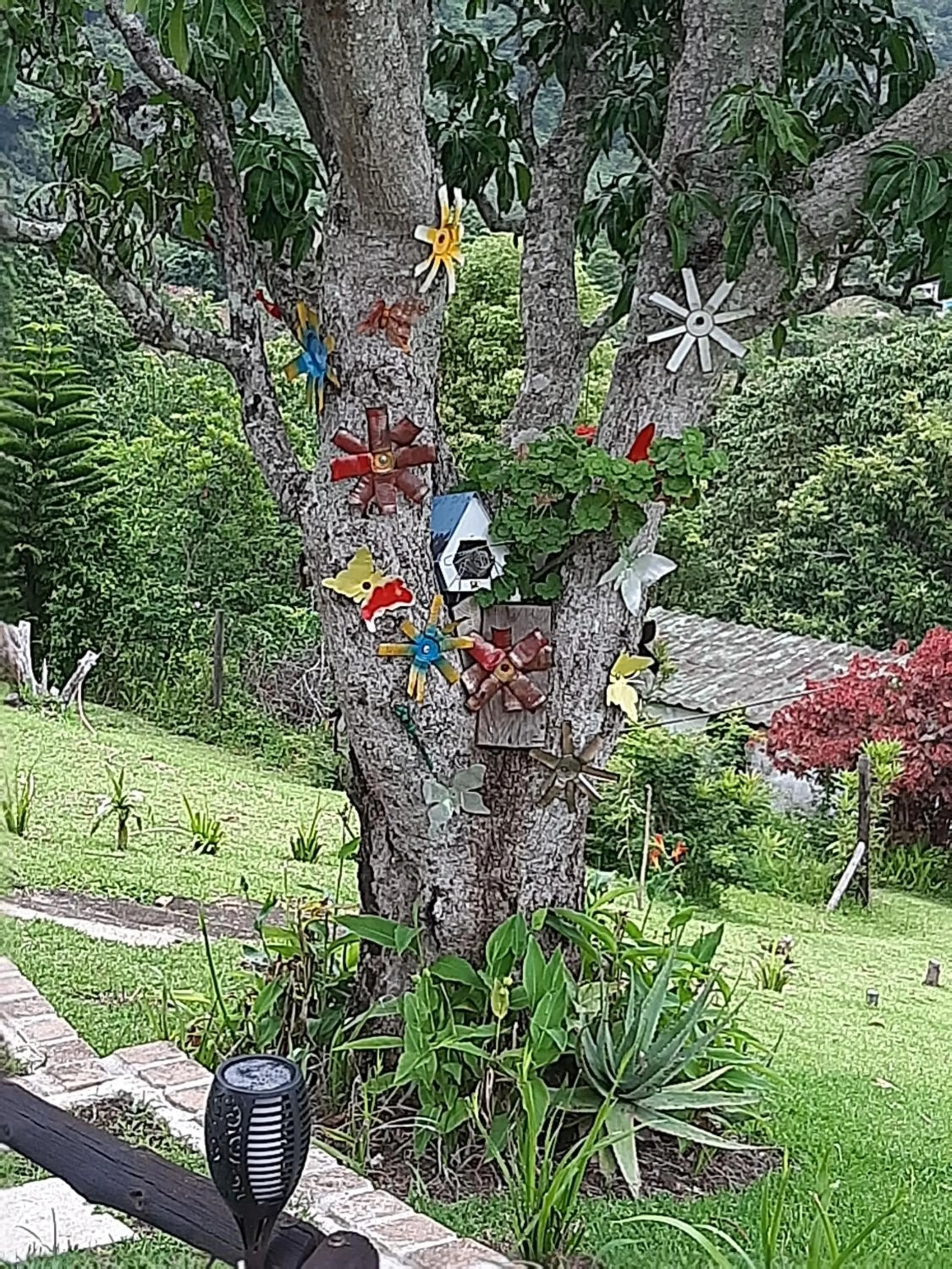 Garden in Umtamvuna View Cabanas