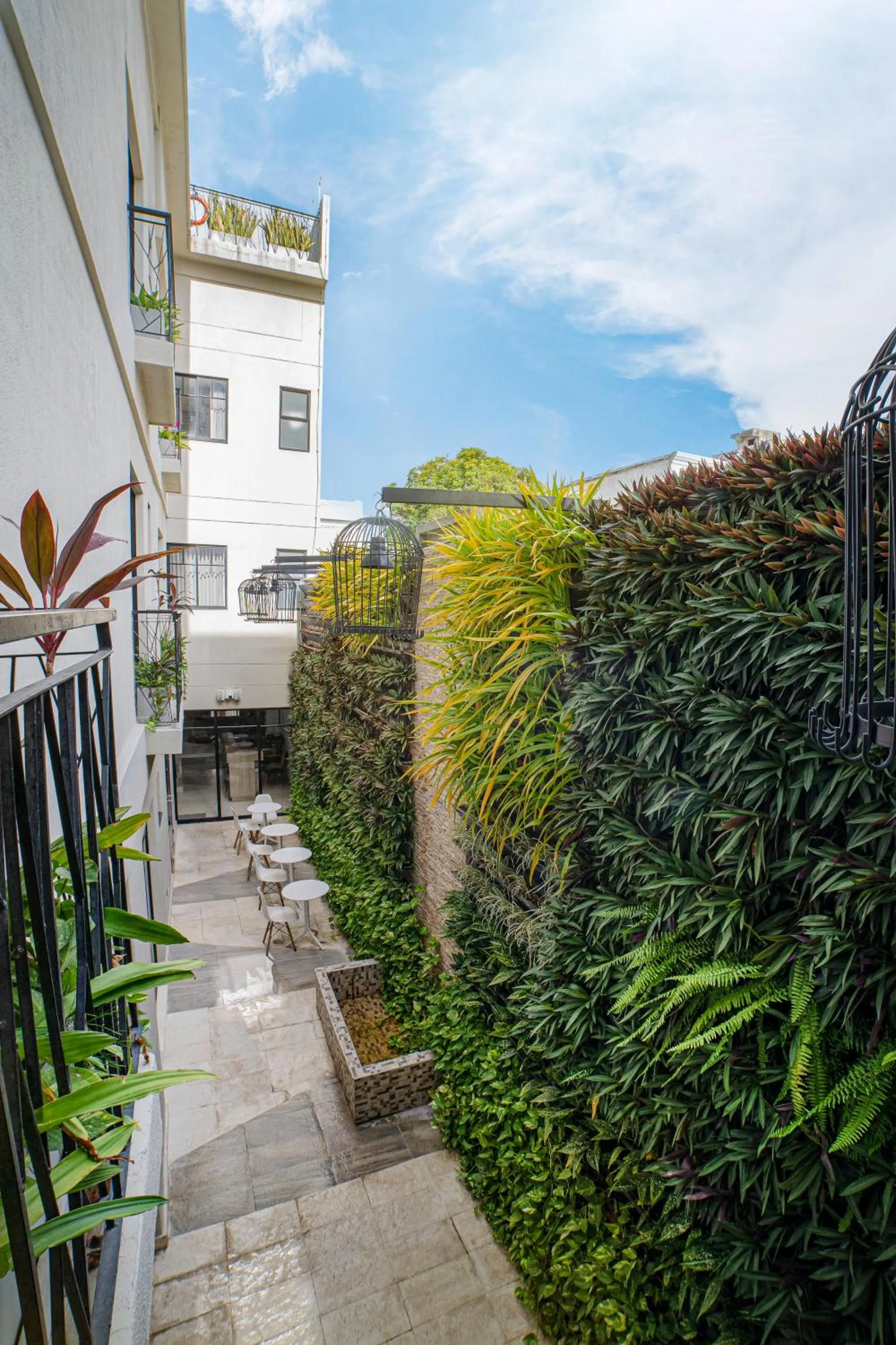 Patio in Alko Hotel Cotona