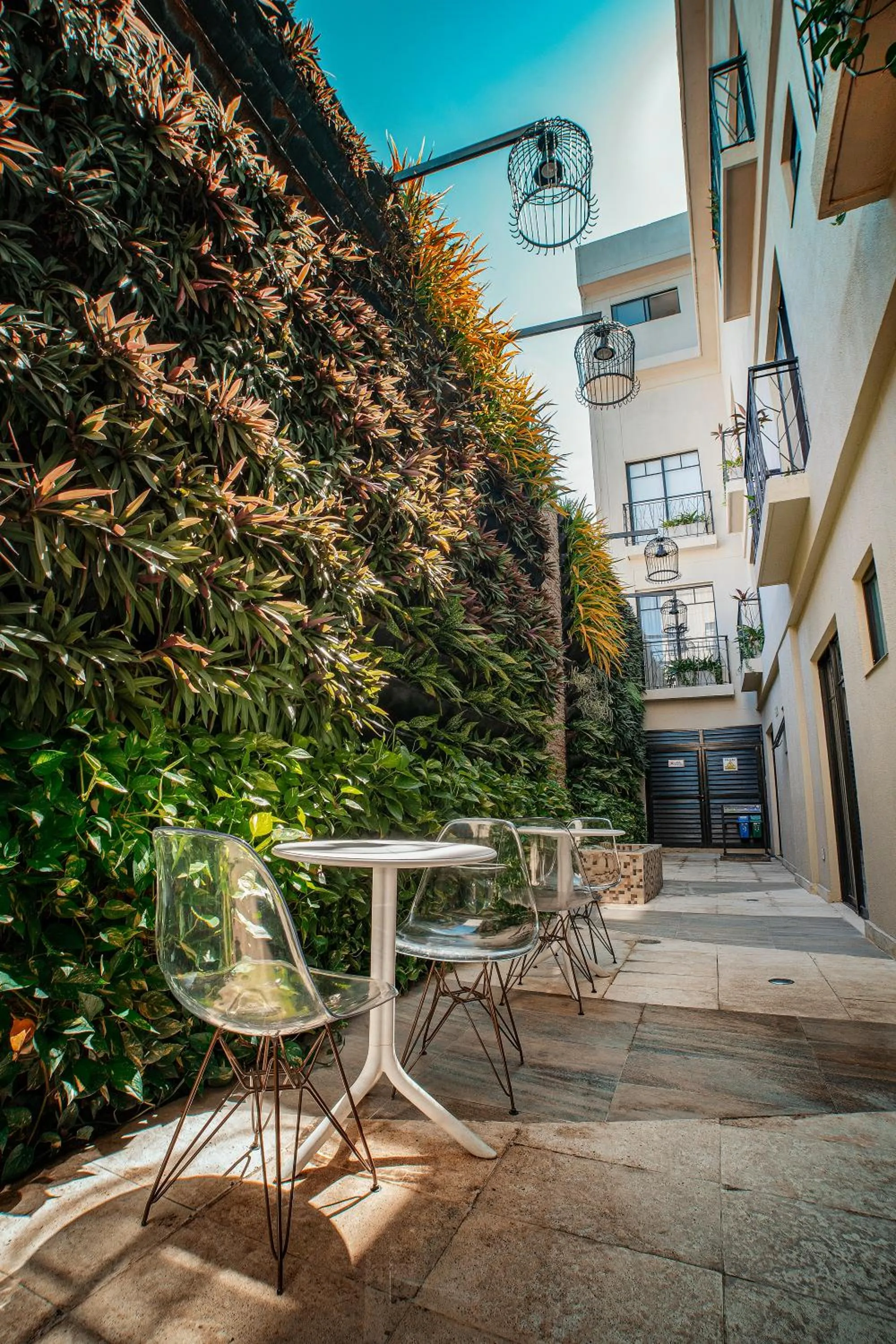 Patio in Alko Hotel Cotona