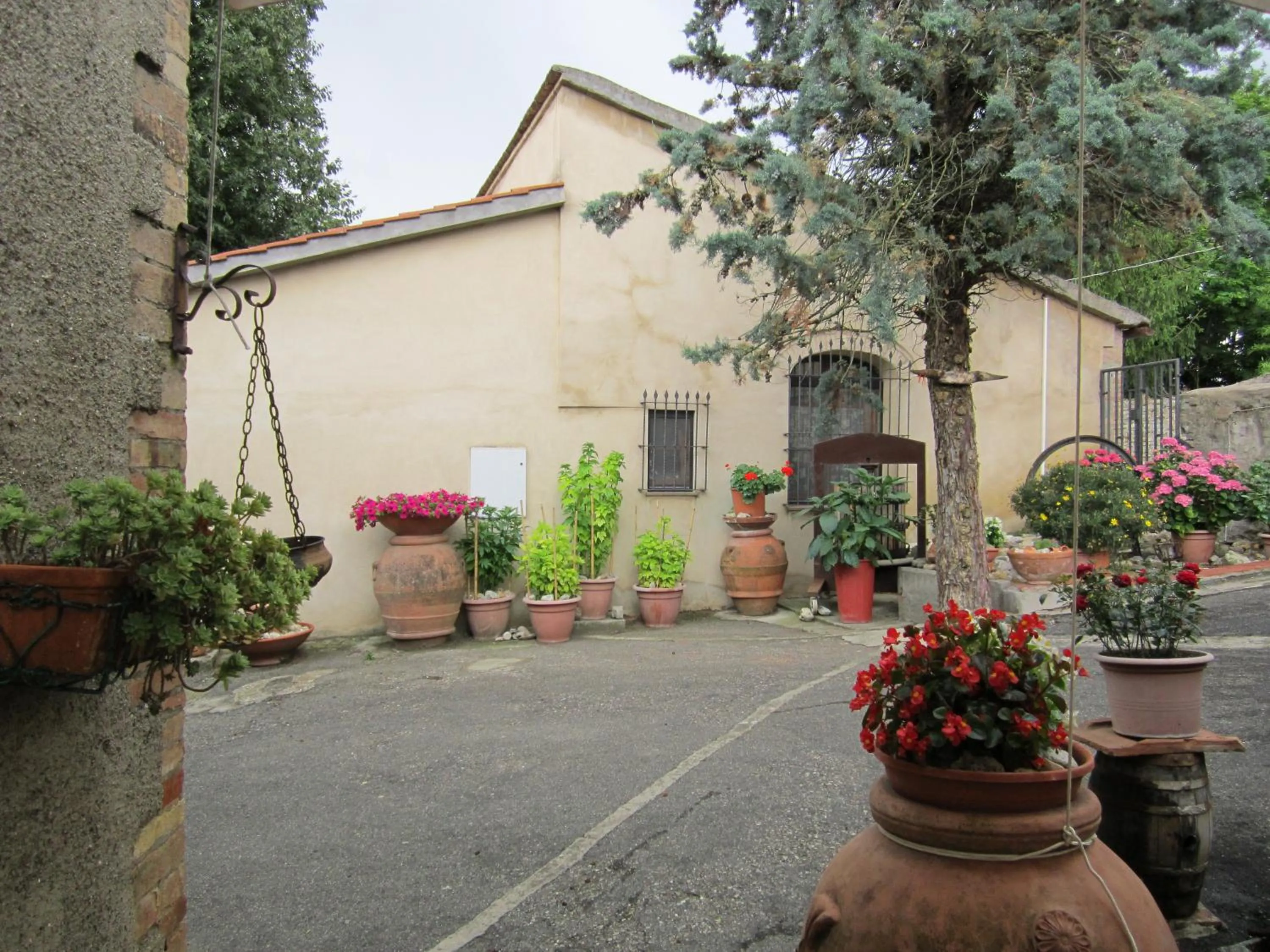 Agriturismo Il Colto