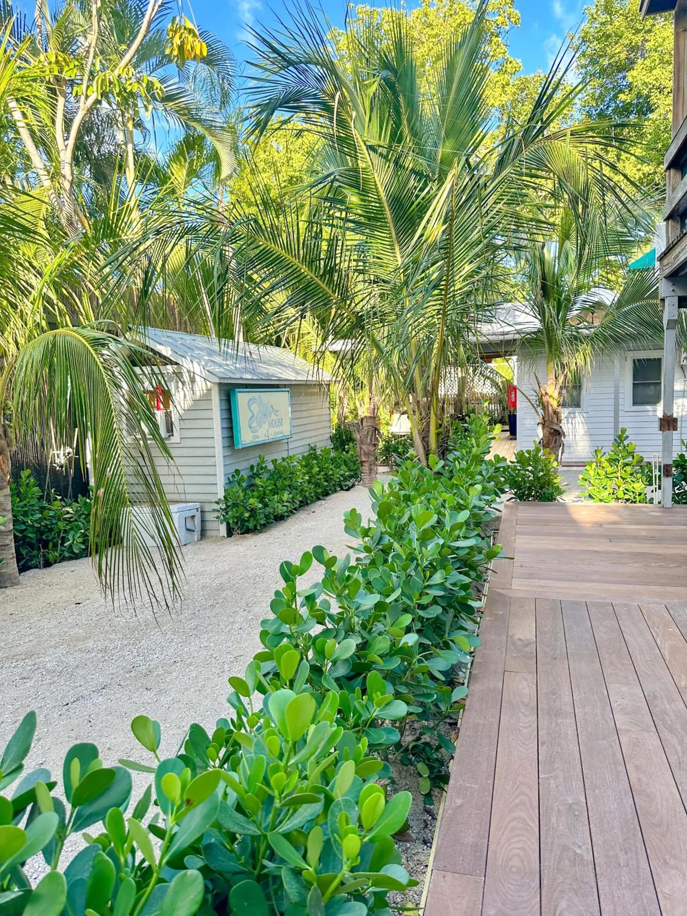 Garden view in Eden House