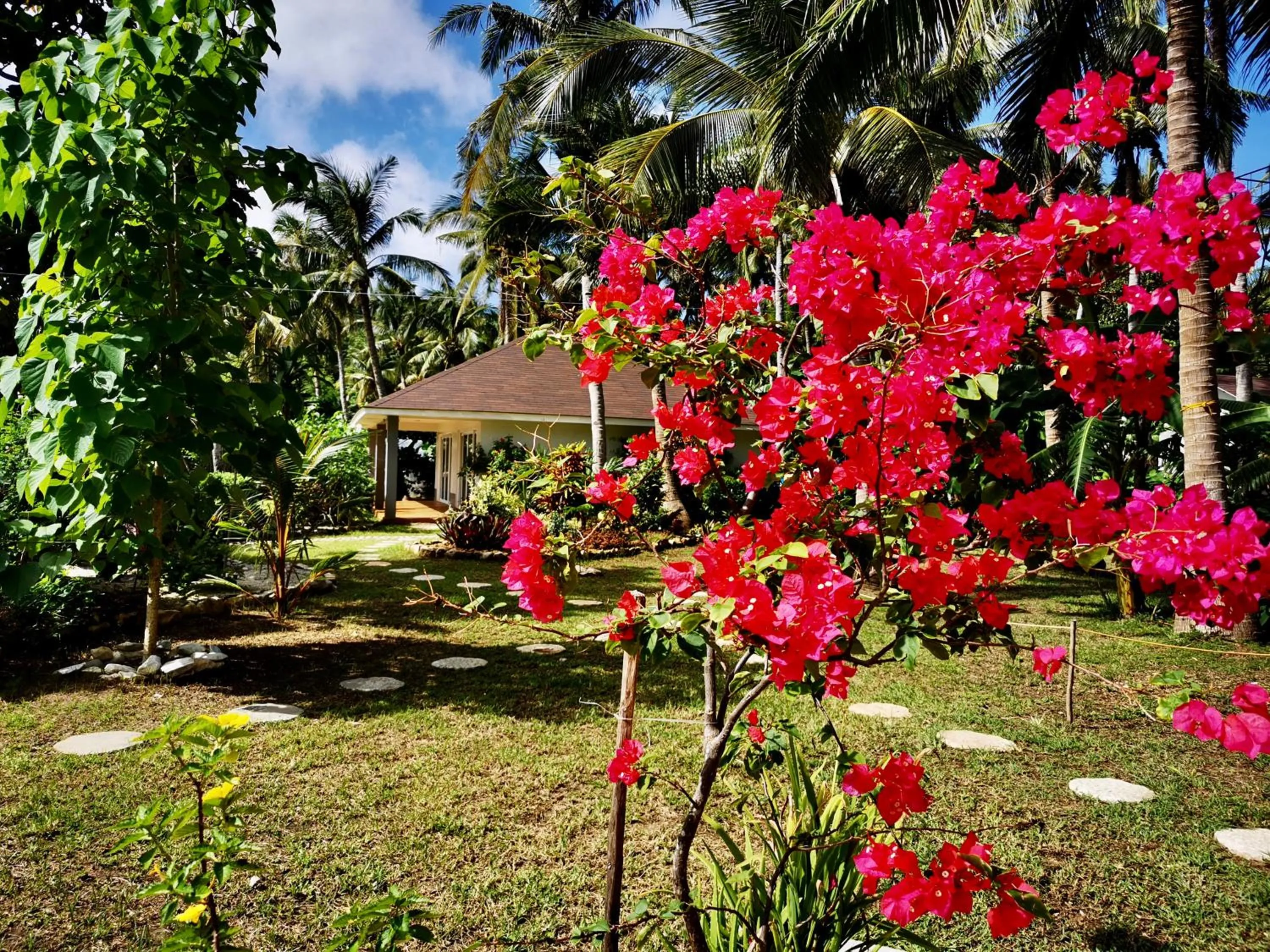 Day in Sunset Cove Beach & Dive Resort