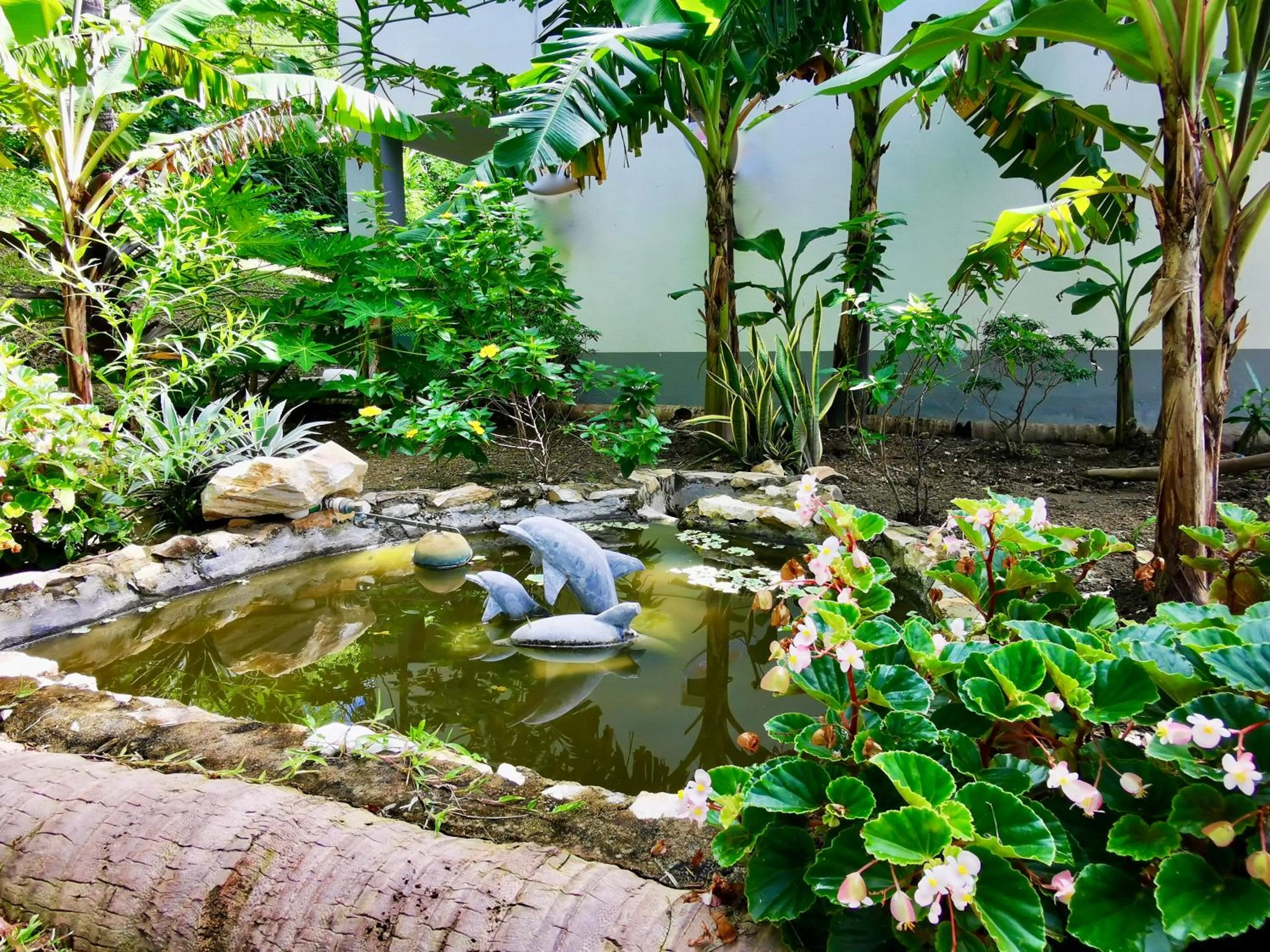 Day in Sunset Cove Beach & Dive Resort