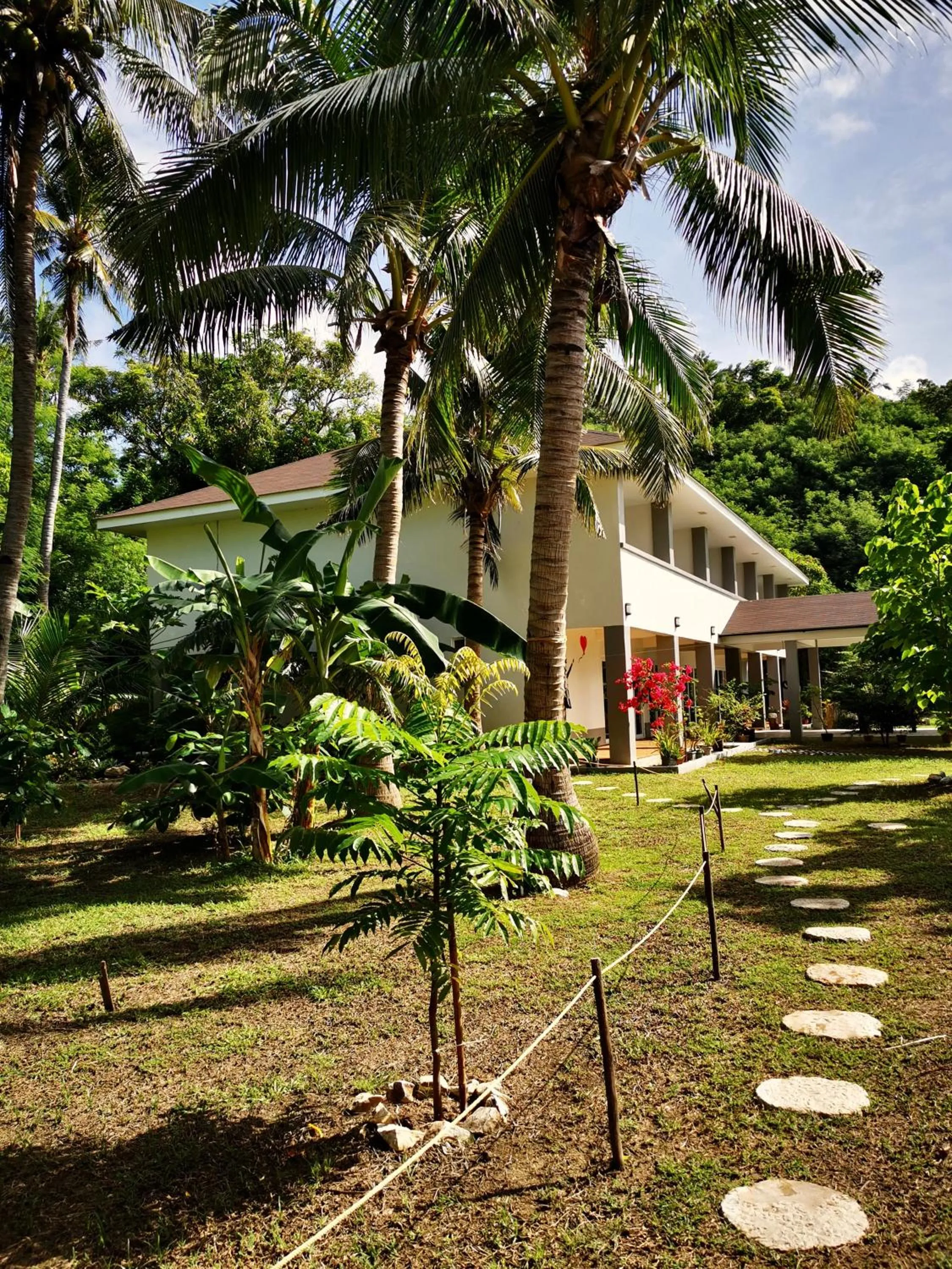 Property building in Sunset Cove Beach & Dive Resort