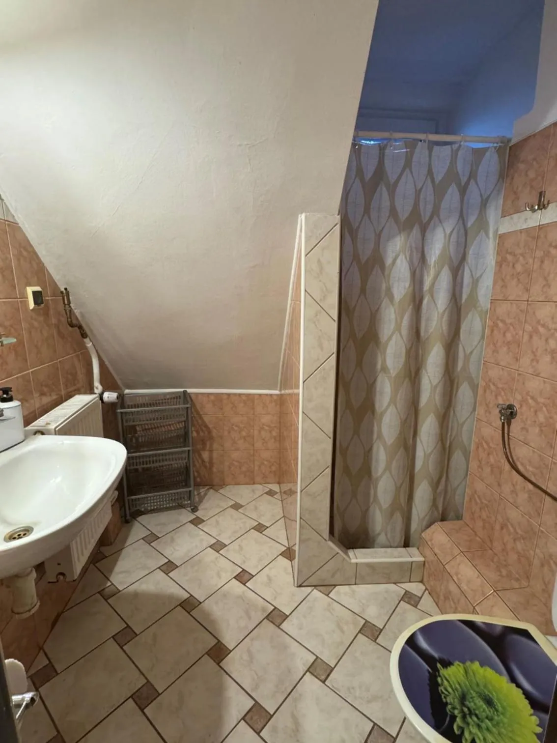 Shower in Dom wczasowy Przy Skałkach