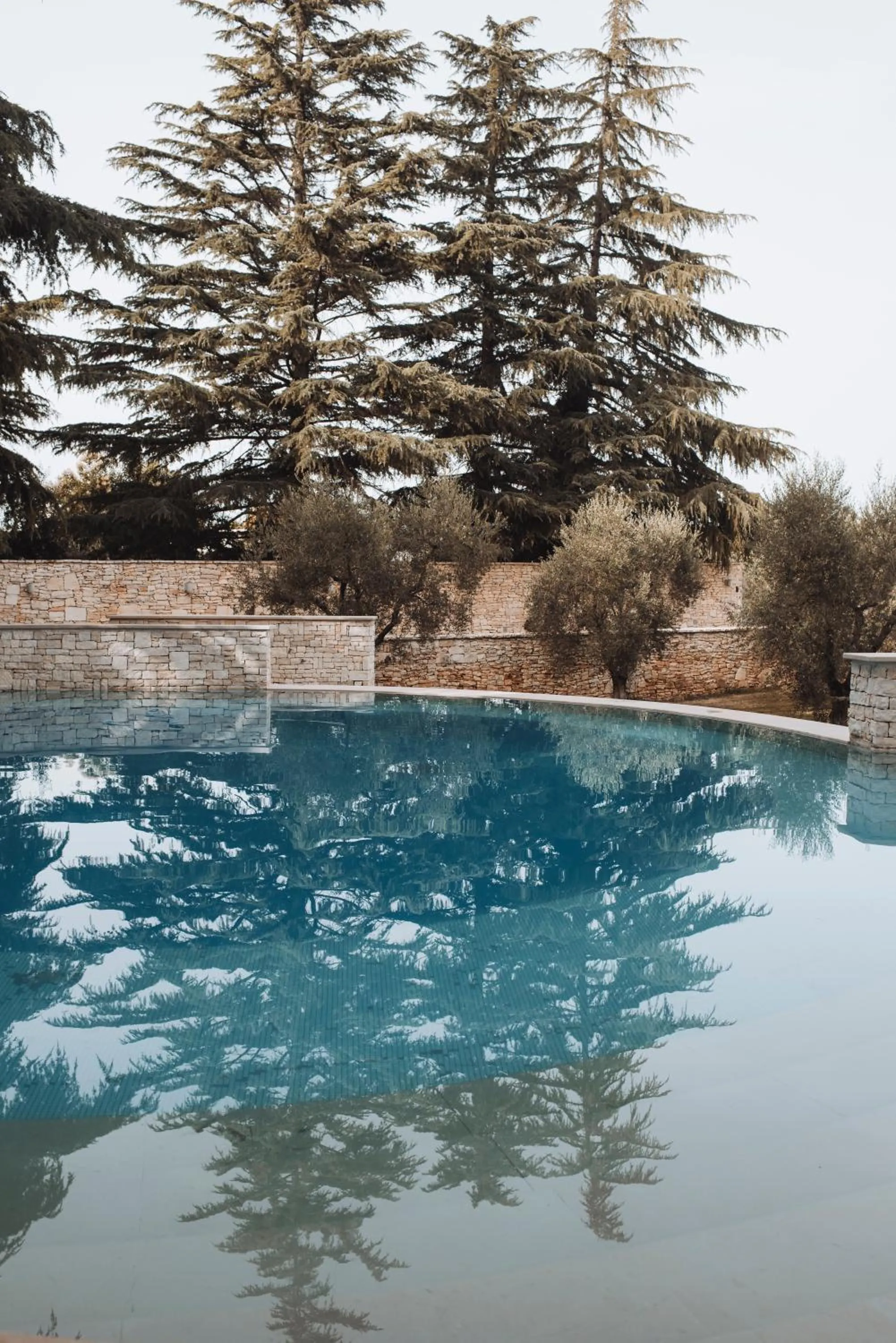 Garden in Villa delle Querce Resort