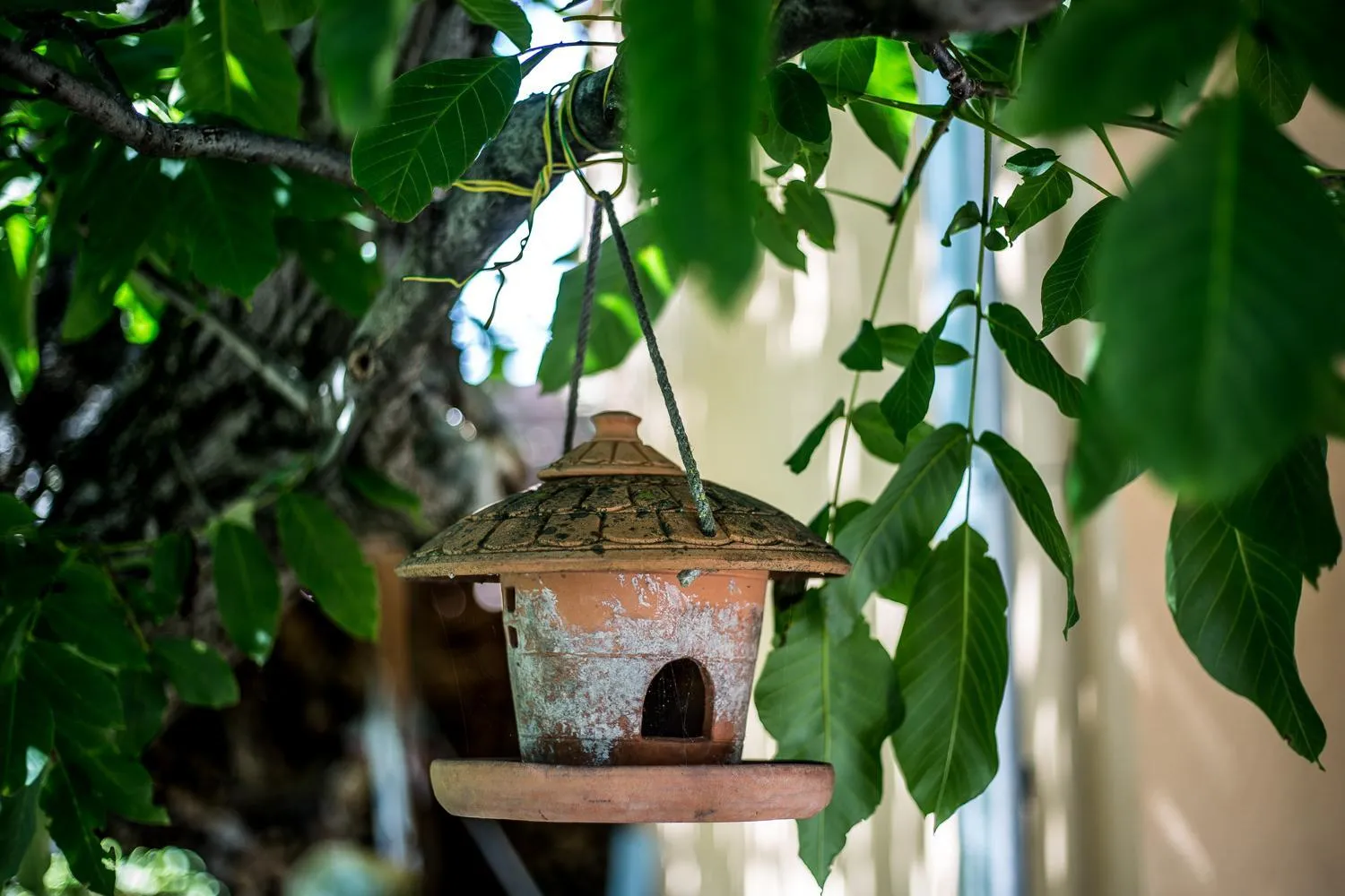 Decorative detail in Nyirfa Apartmanház Döröske