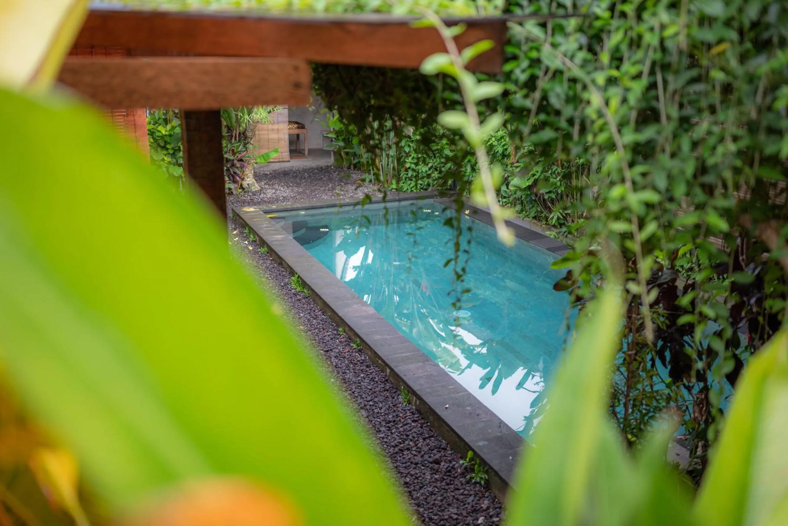 Garden in Dedeane Hotel & Yoga Retreat