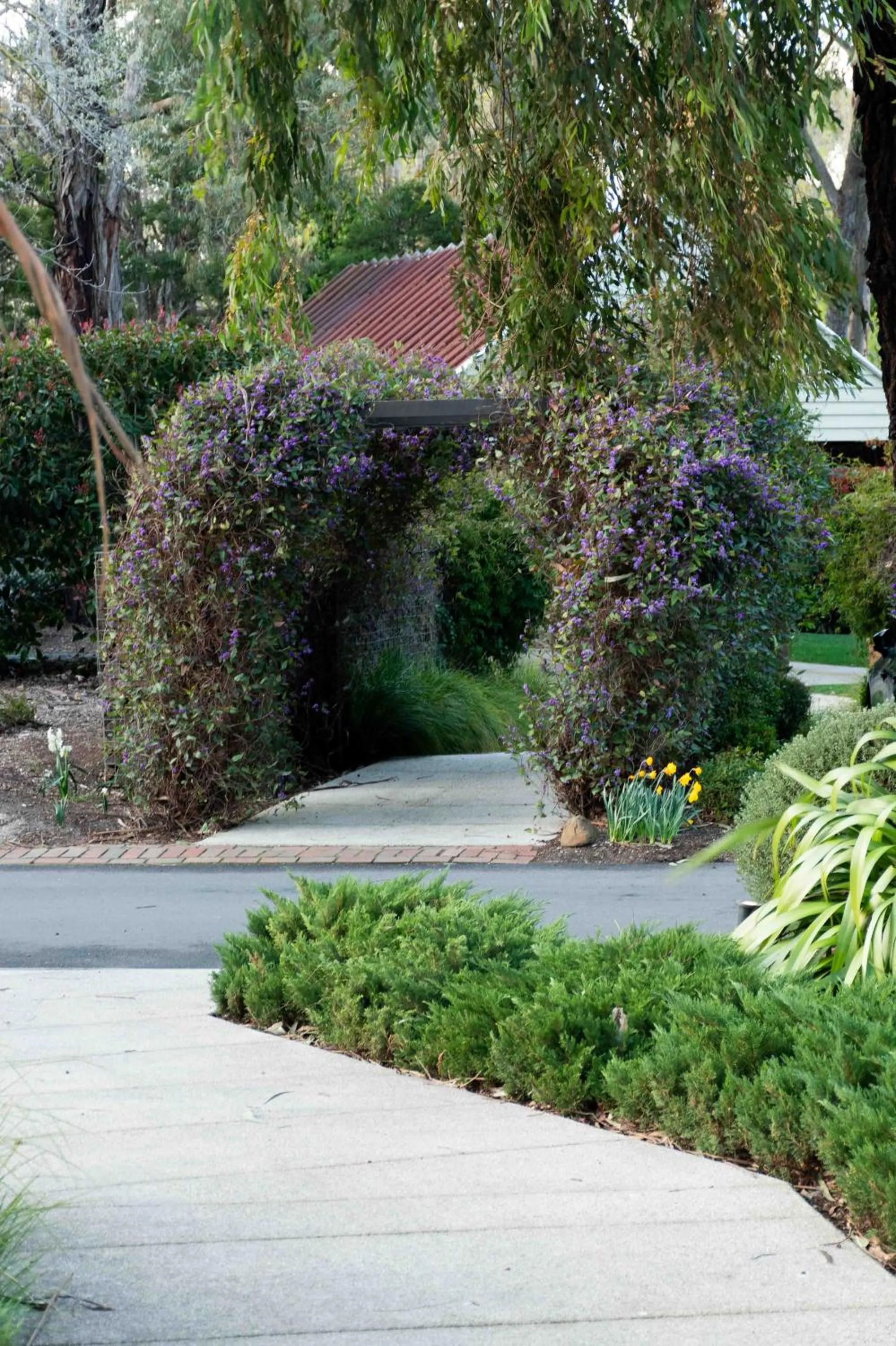 Mercure Ballarat Hotel & Convention Centre