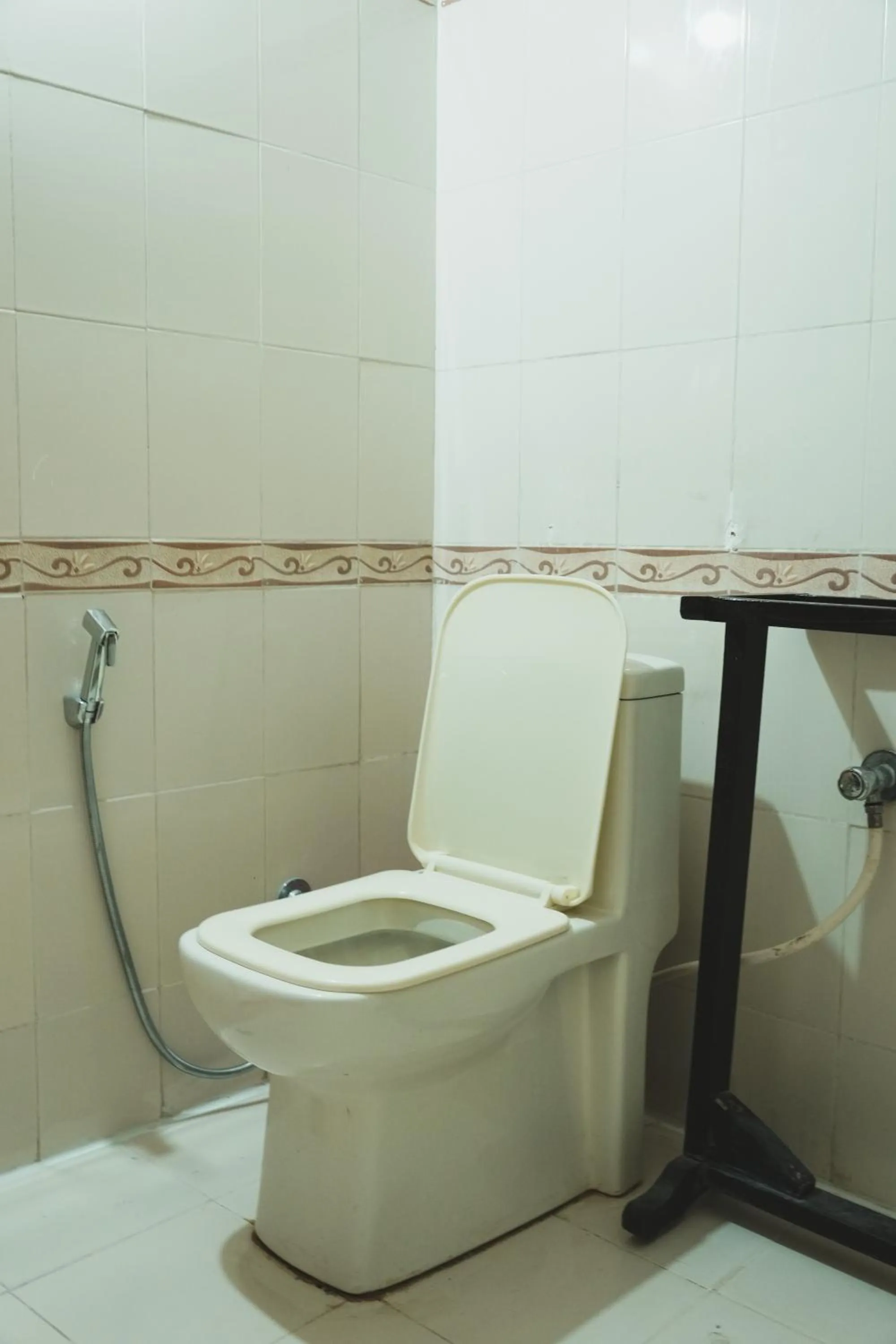 Toilet in Kanhaia Haveli