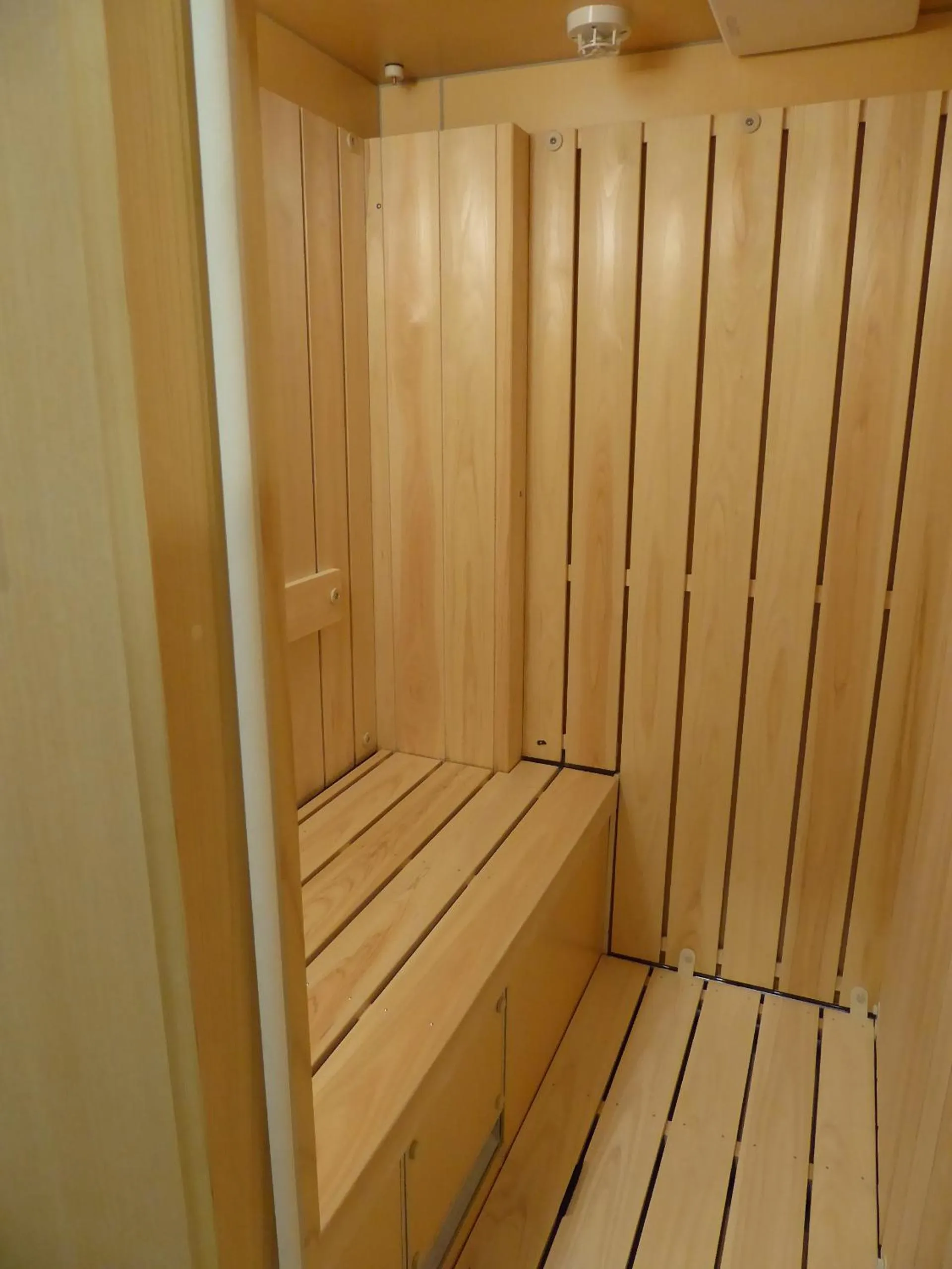 Sauna in Fujikawaguchiko Onsen Konanso