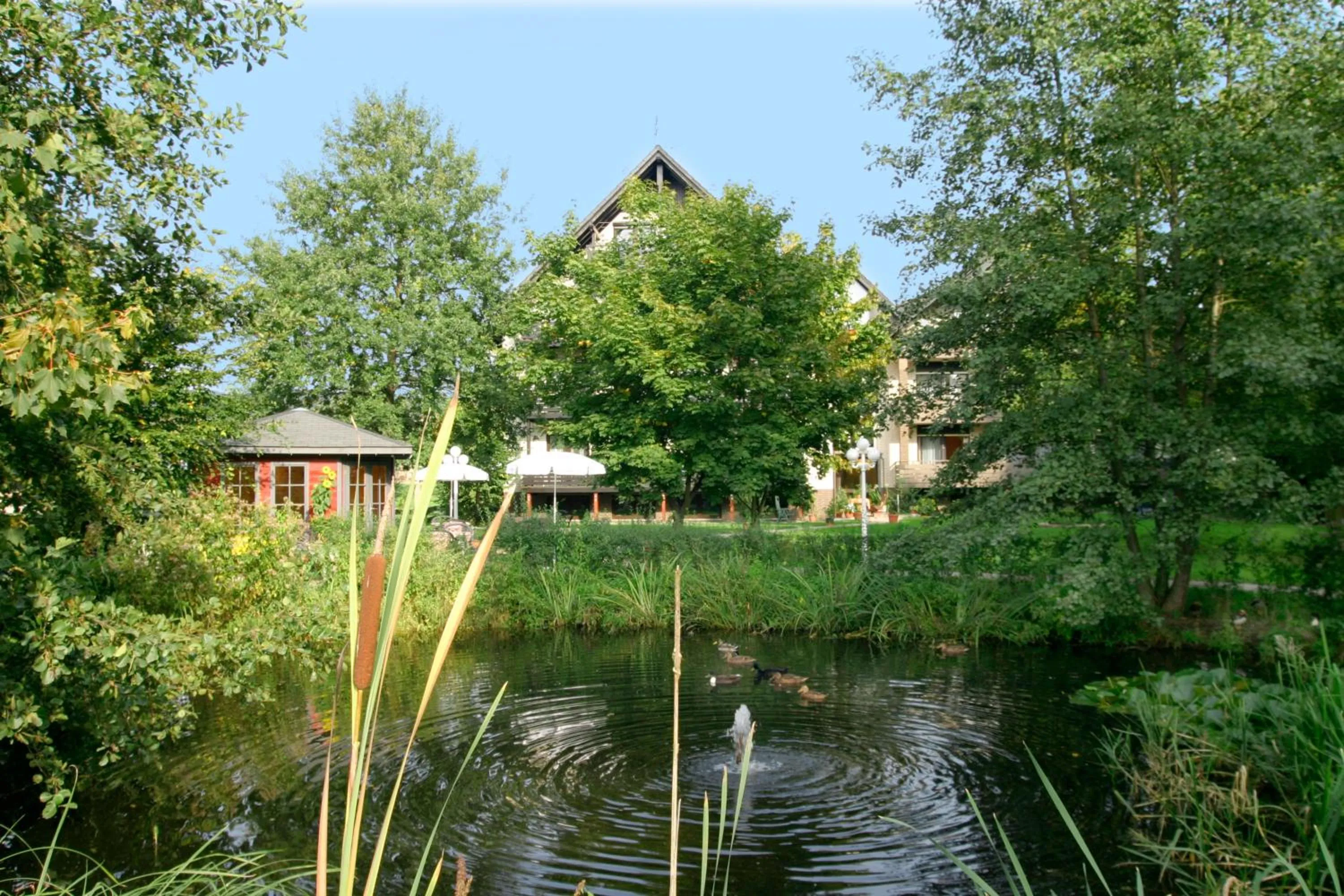 Garden in Hotel an der Ilse