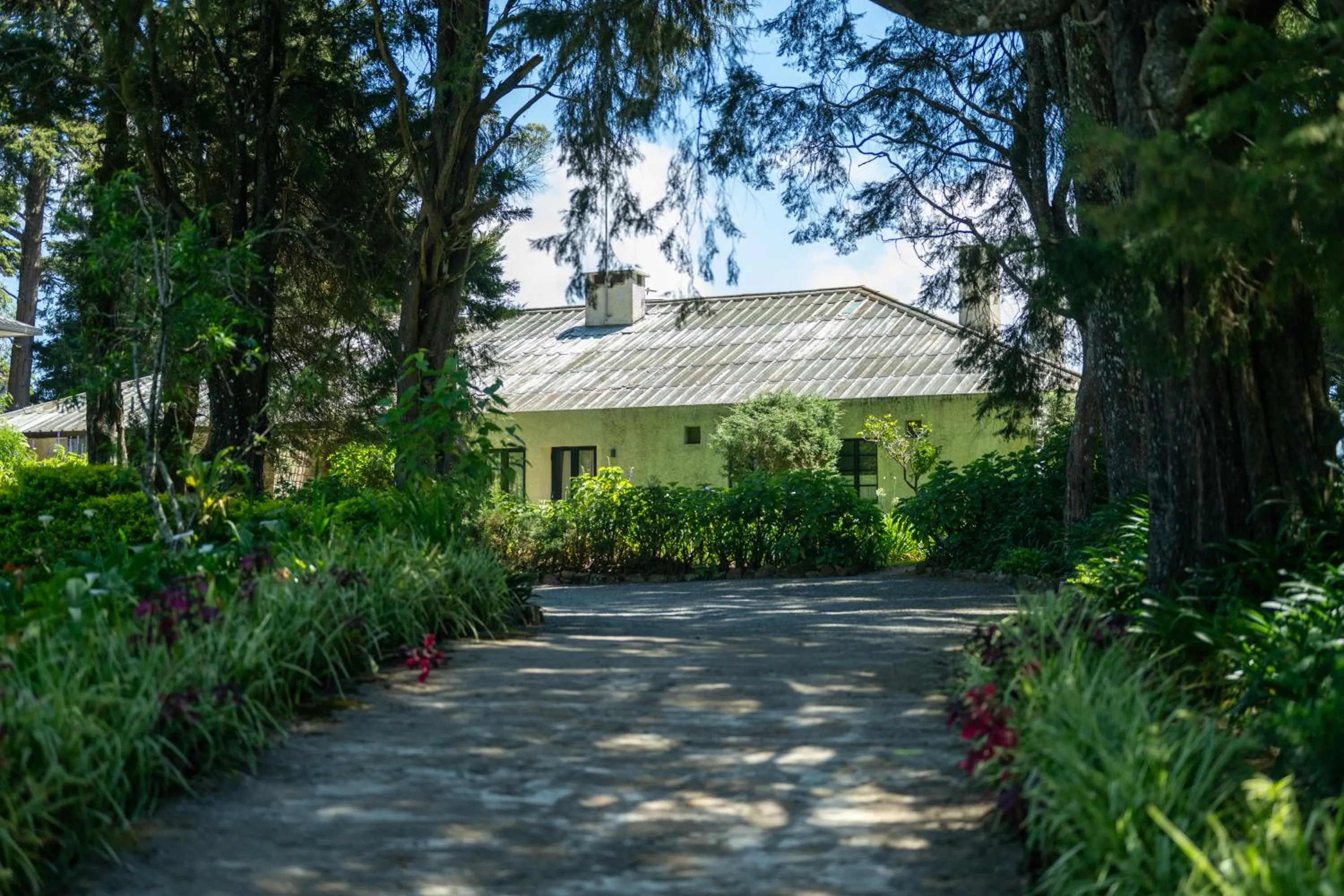 Property building in Goatfell - Nuwara Eliya