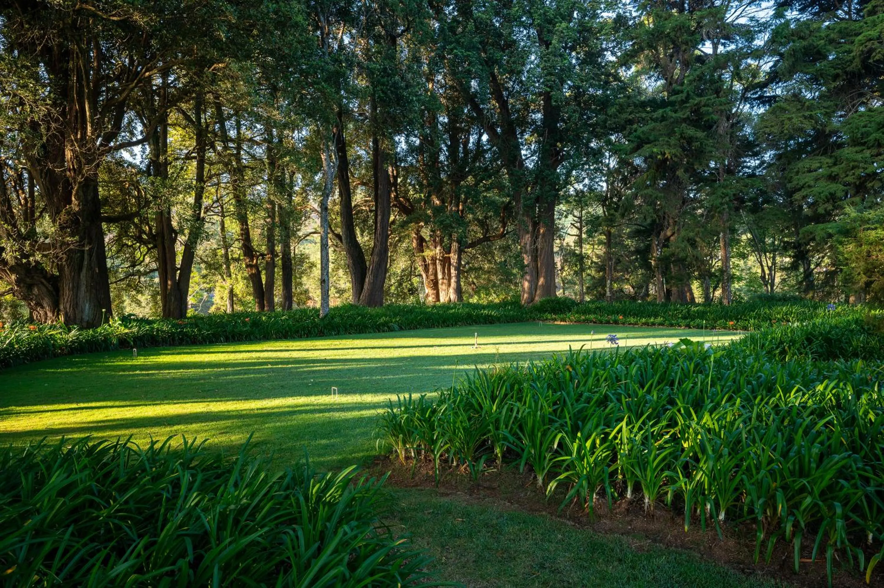 Natural landscape in Goatfell - Nuwara Eliya