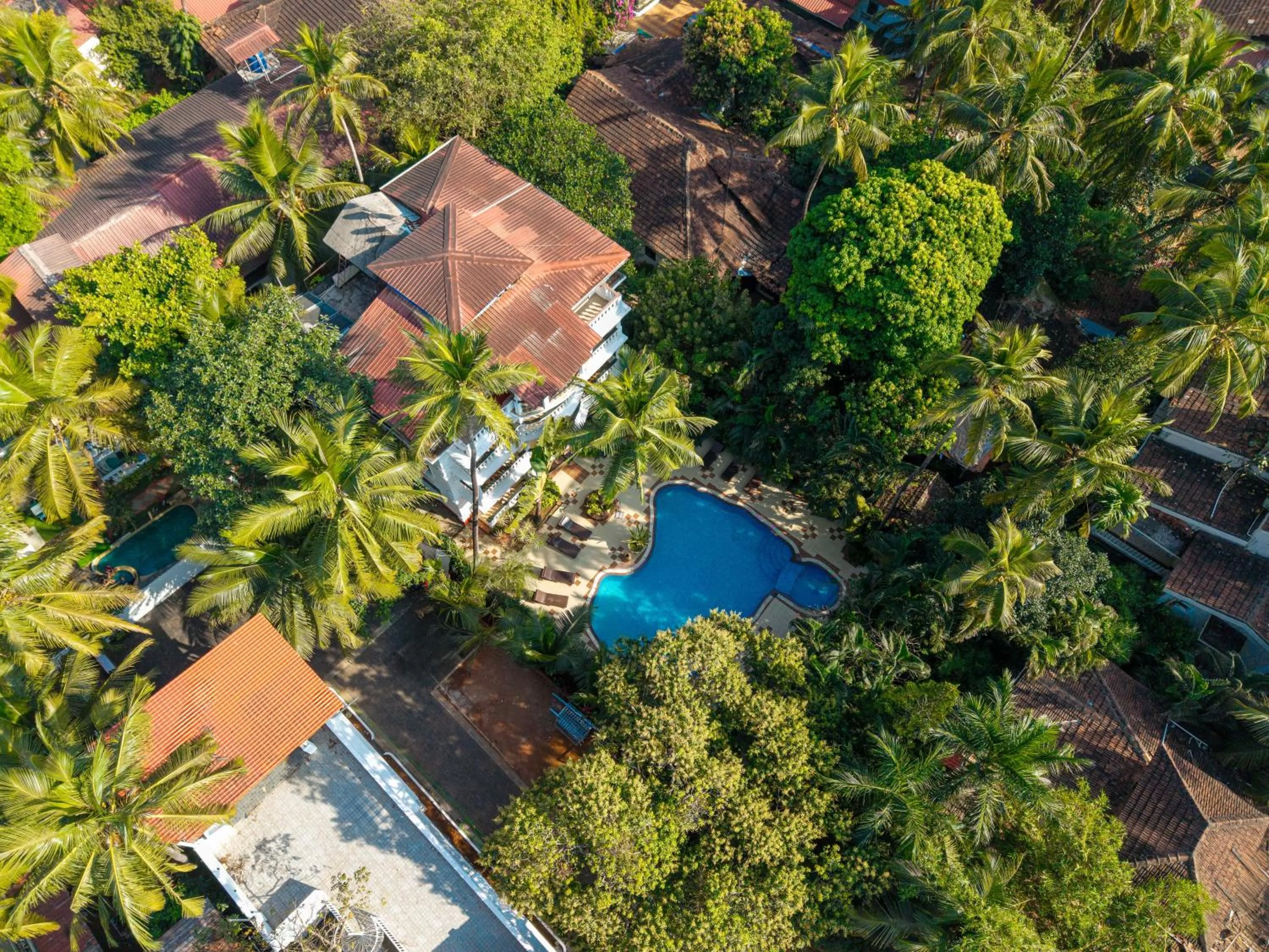 Olive Hotel Alidia Beach Resort by Embassy Group