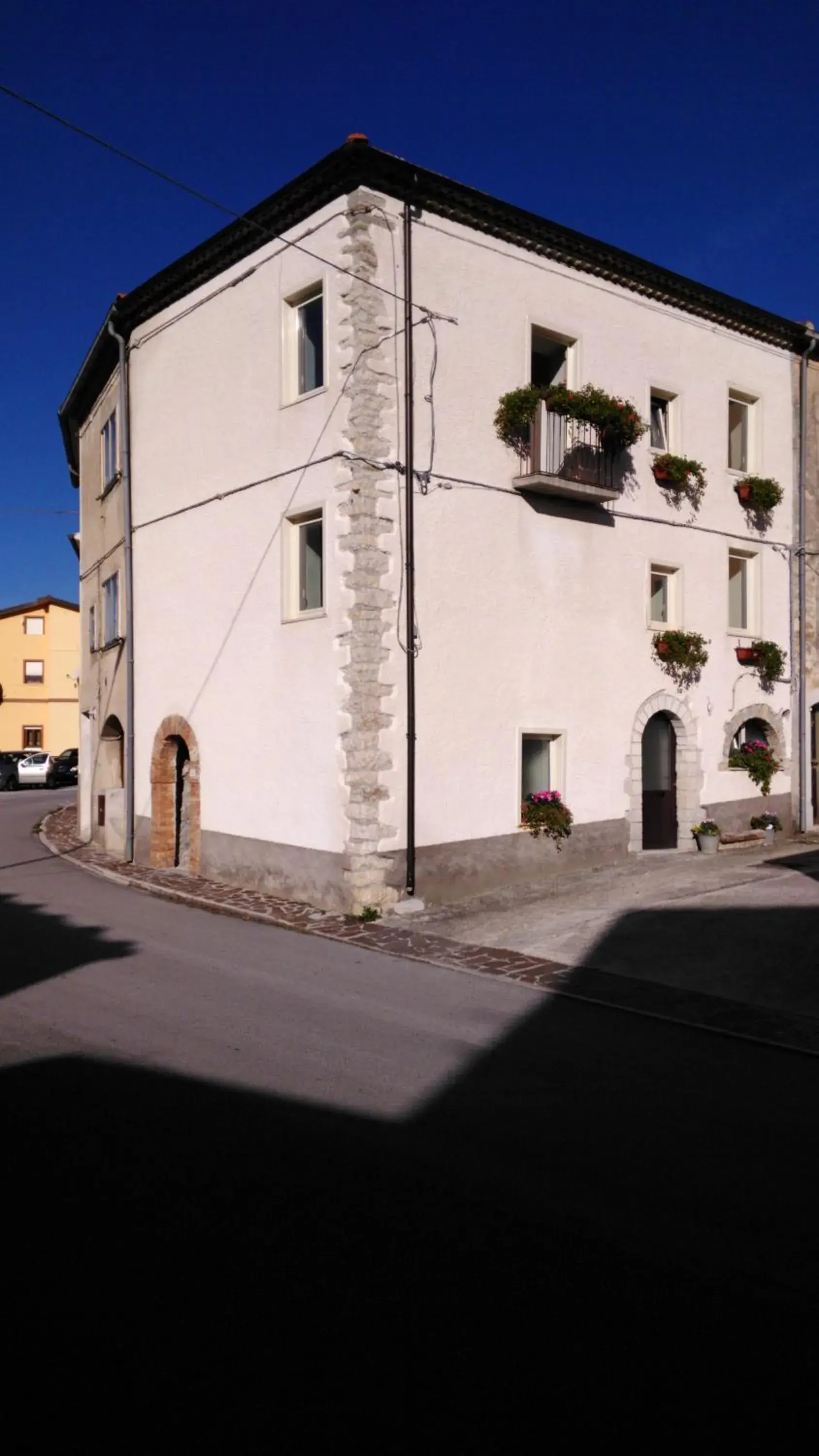 L'angolo fiorito L'angolo fiorito