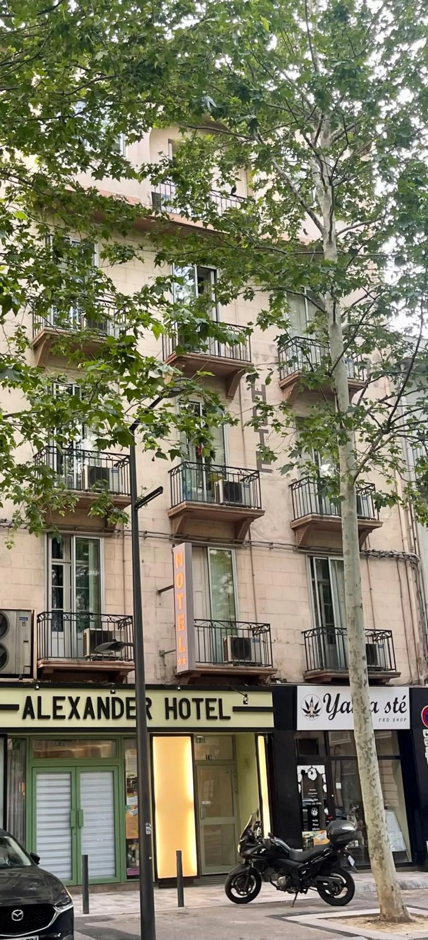 Property building in Hotel Alexander