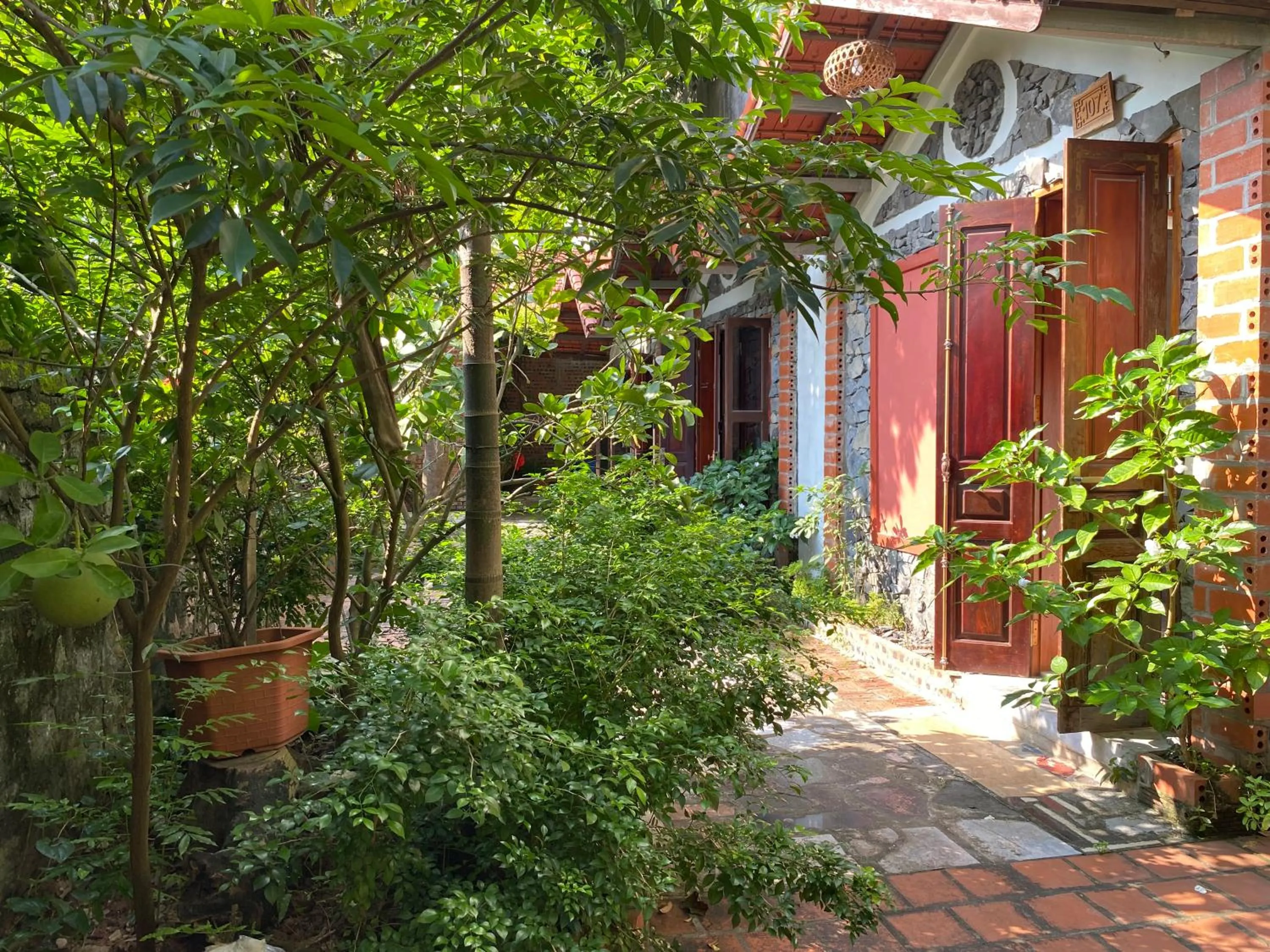 Tam Coc Ngo Đong Homestay