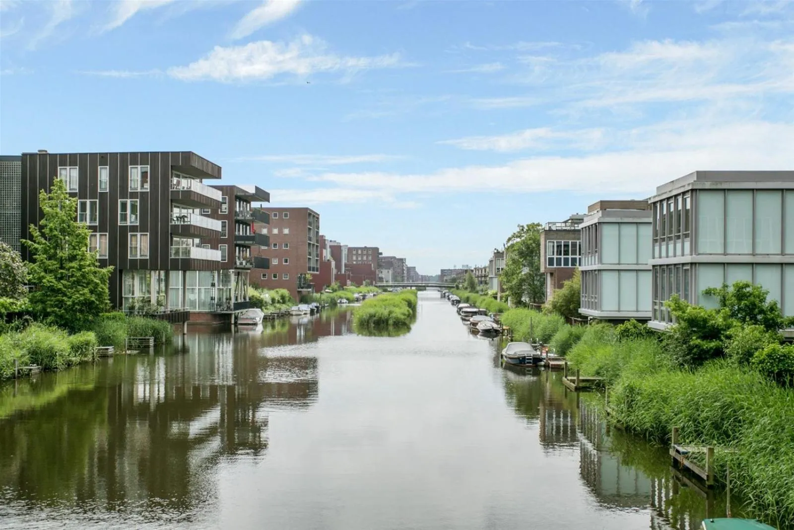 River view in The Green Tunnel