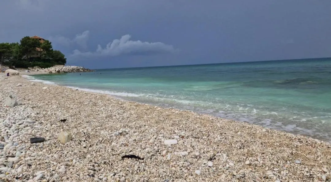 Activities in B&B I Pini Di Storaco