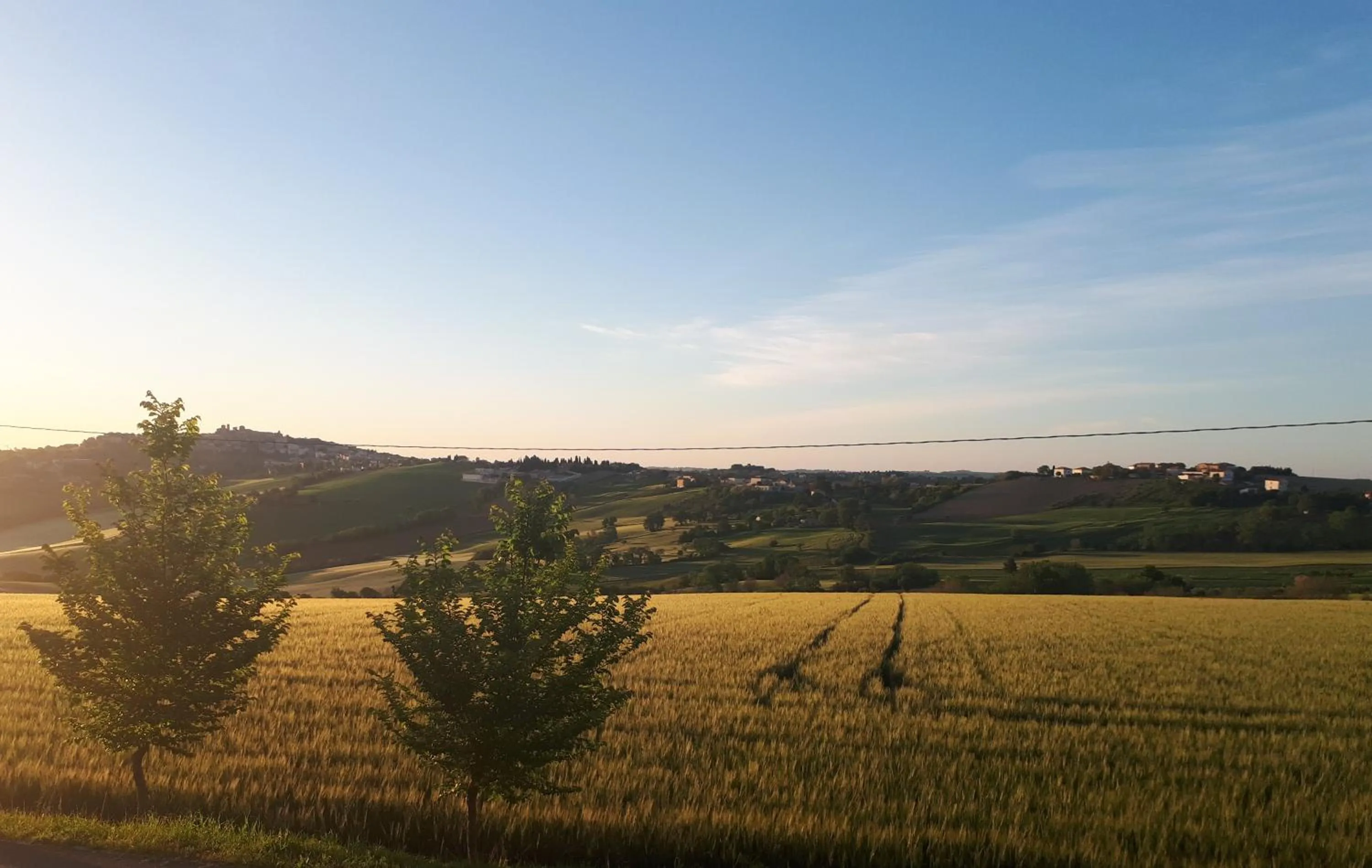 View (from property/room) in B&B I Pini Di Storaco