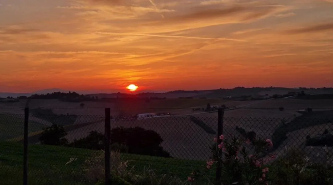 Garden view in B&B I Pini Di Storaco