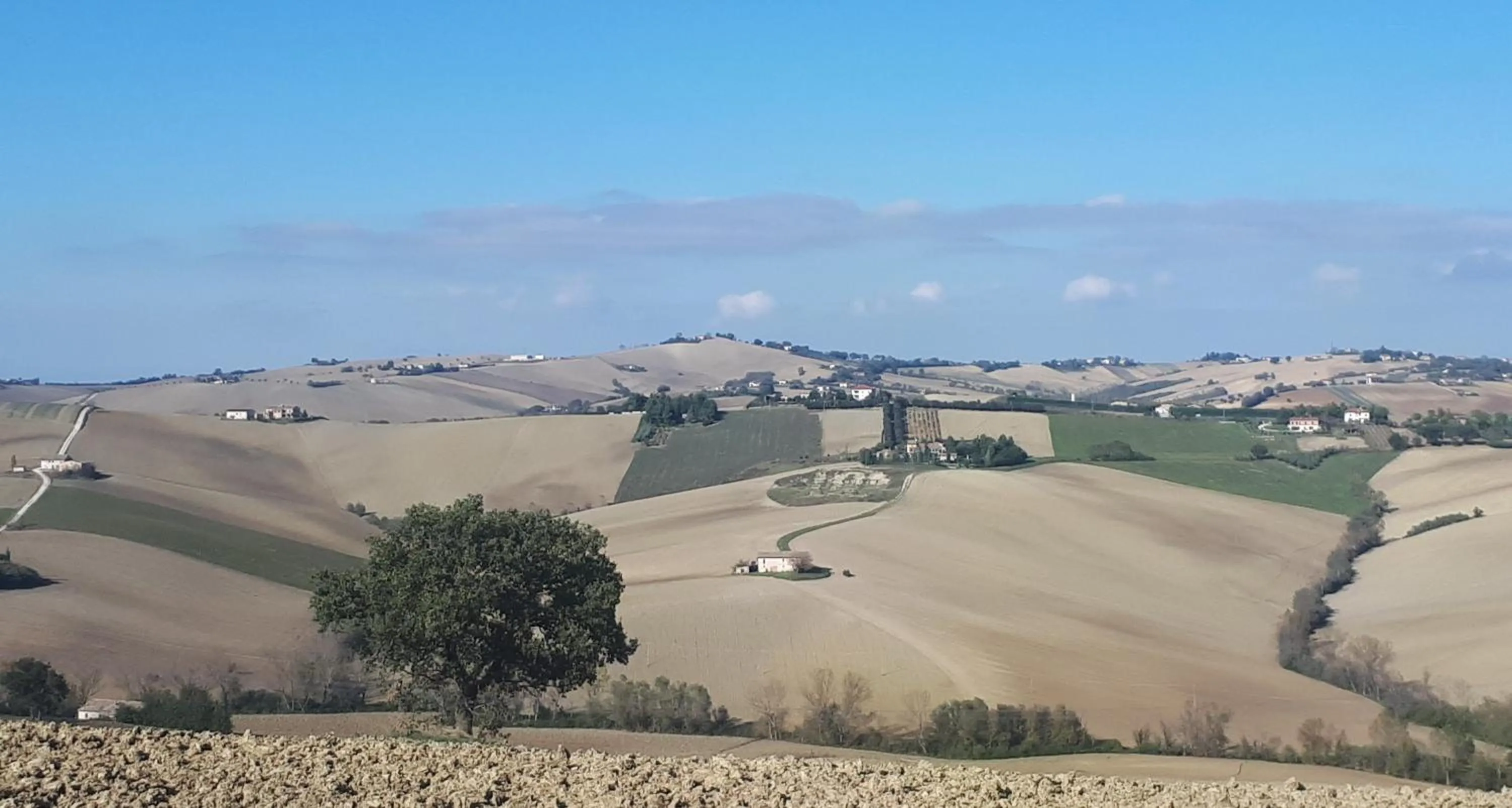 View (from property/room) in B&B I Pini Di Storaco
