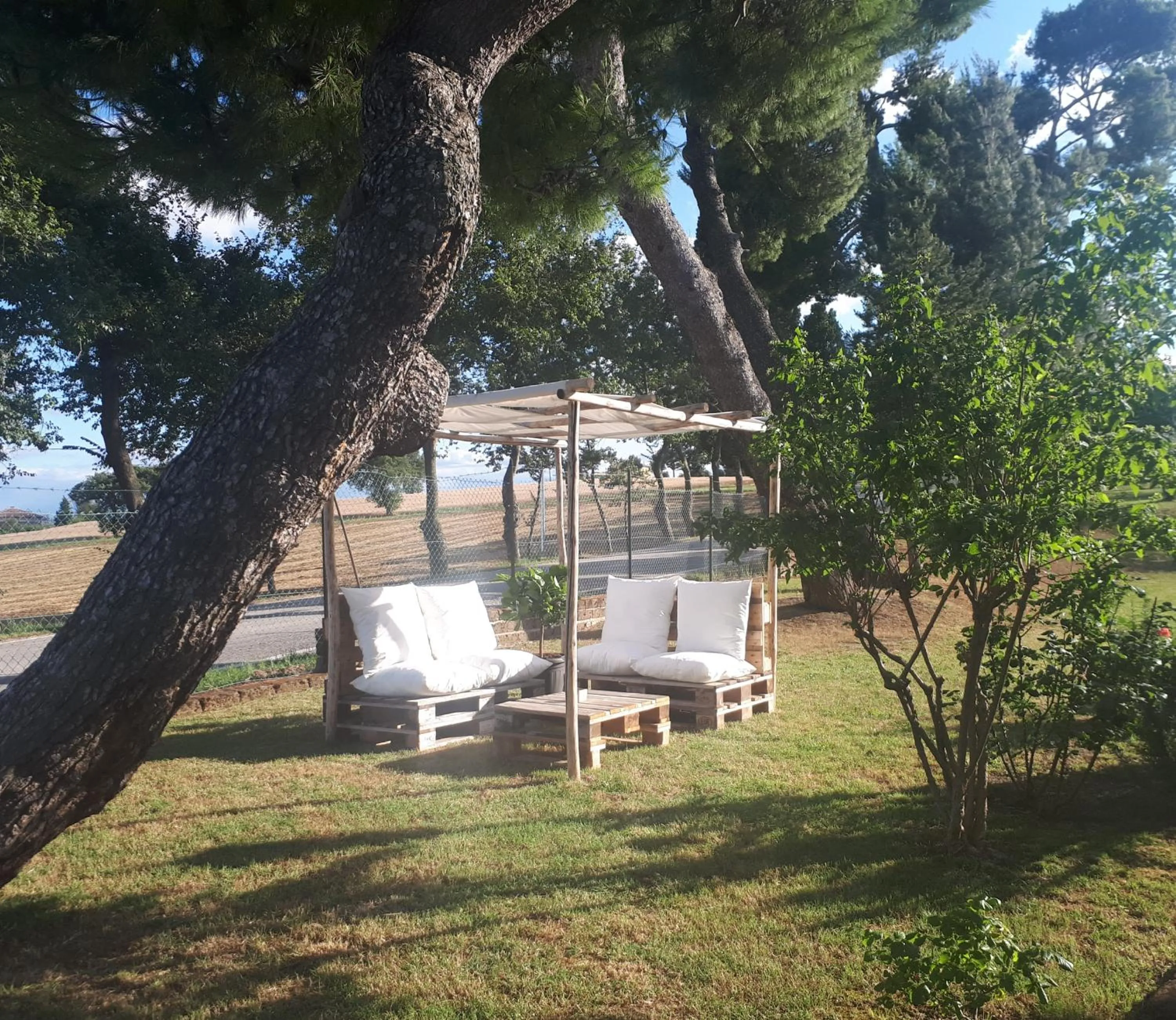 Garden in B&B I Pini Di Storaco