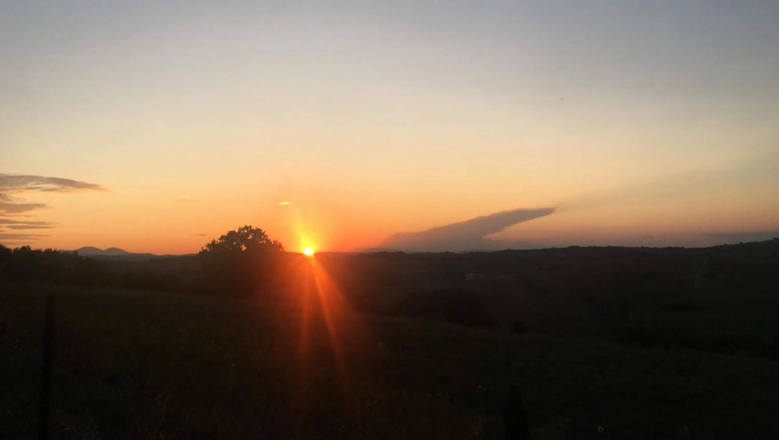 View (from property/room) in B&B I Pini Di Storaco