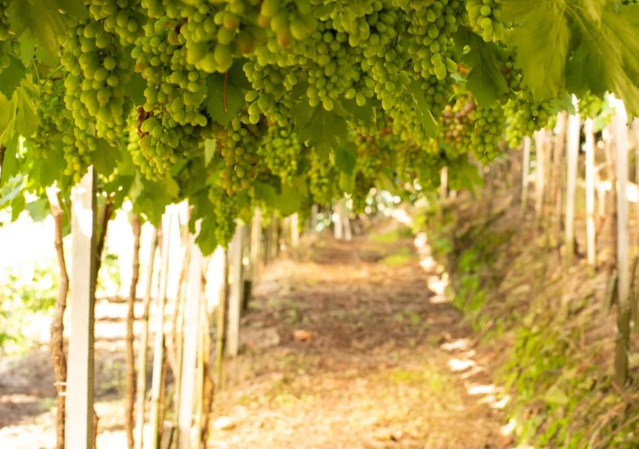 Nearby landmark in Dona Adelia Hotel e Restaurante
