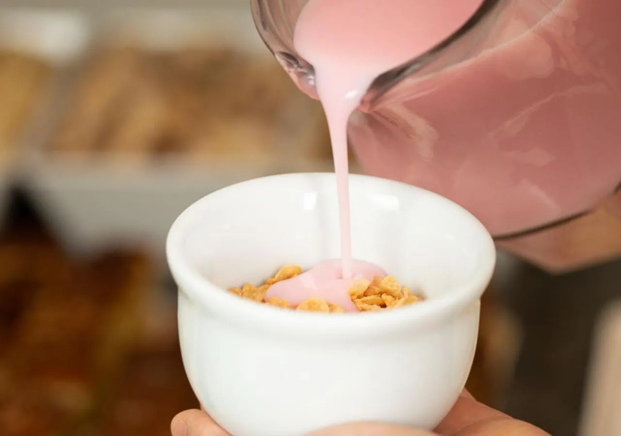 Restaurant/places to eat in Dona Adelia Hotel e Restaurante