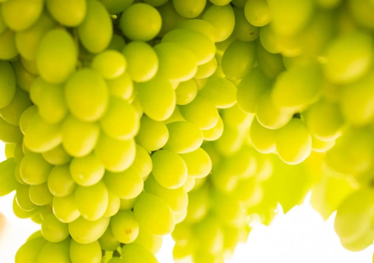 Nearby landmark in Dona Adelia Hotel e Restaurante