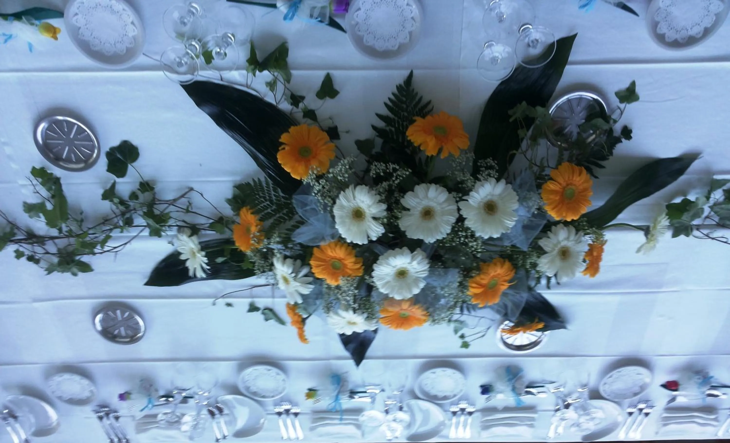 Restaurant/places to eat in Hotel Progresso