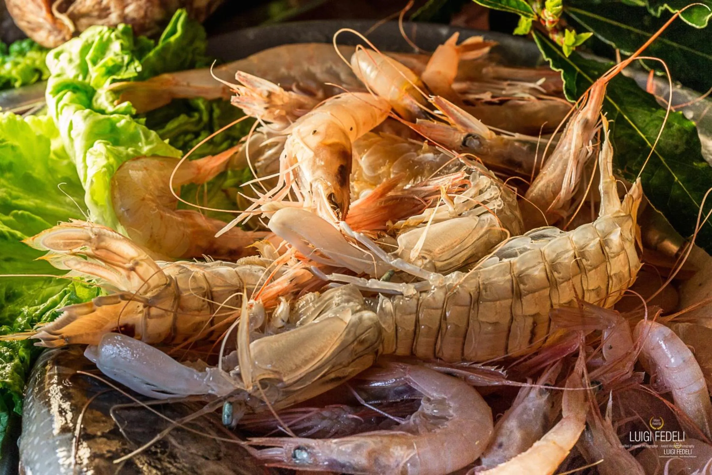 Food close-up in Hotel Progresso