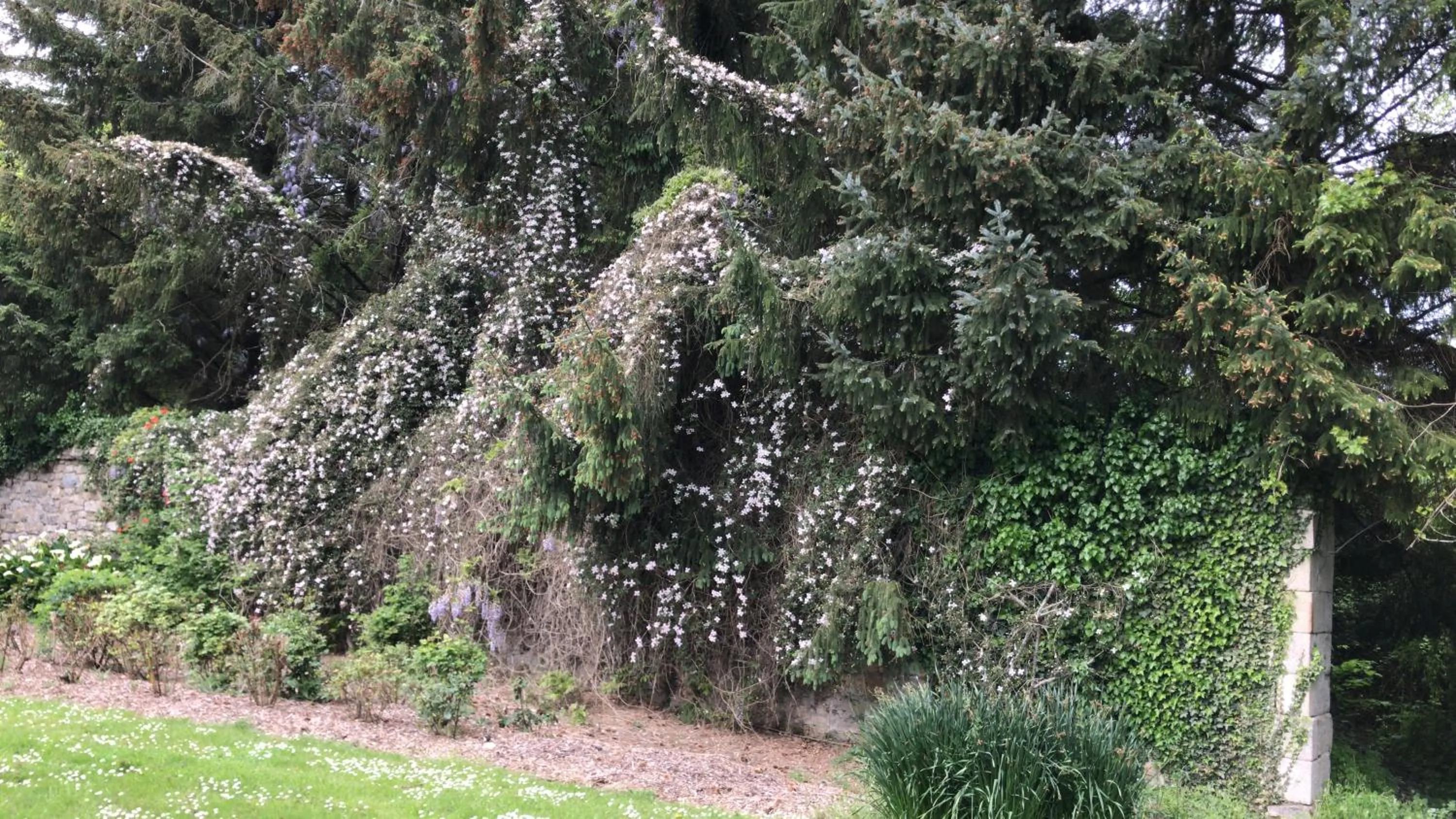 Natural landscape in Manoir de Penn Lann