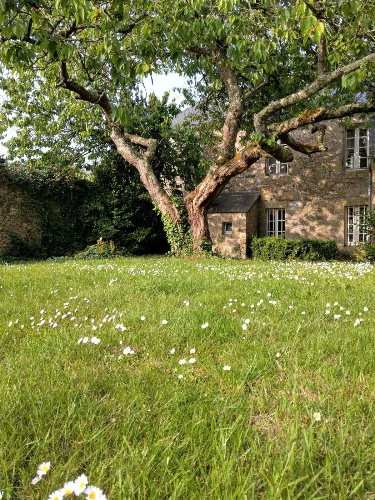 Natural landscape in Manoir de Penn Lann