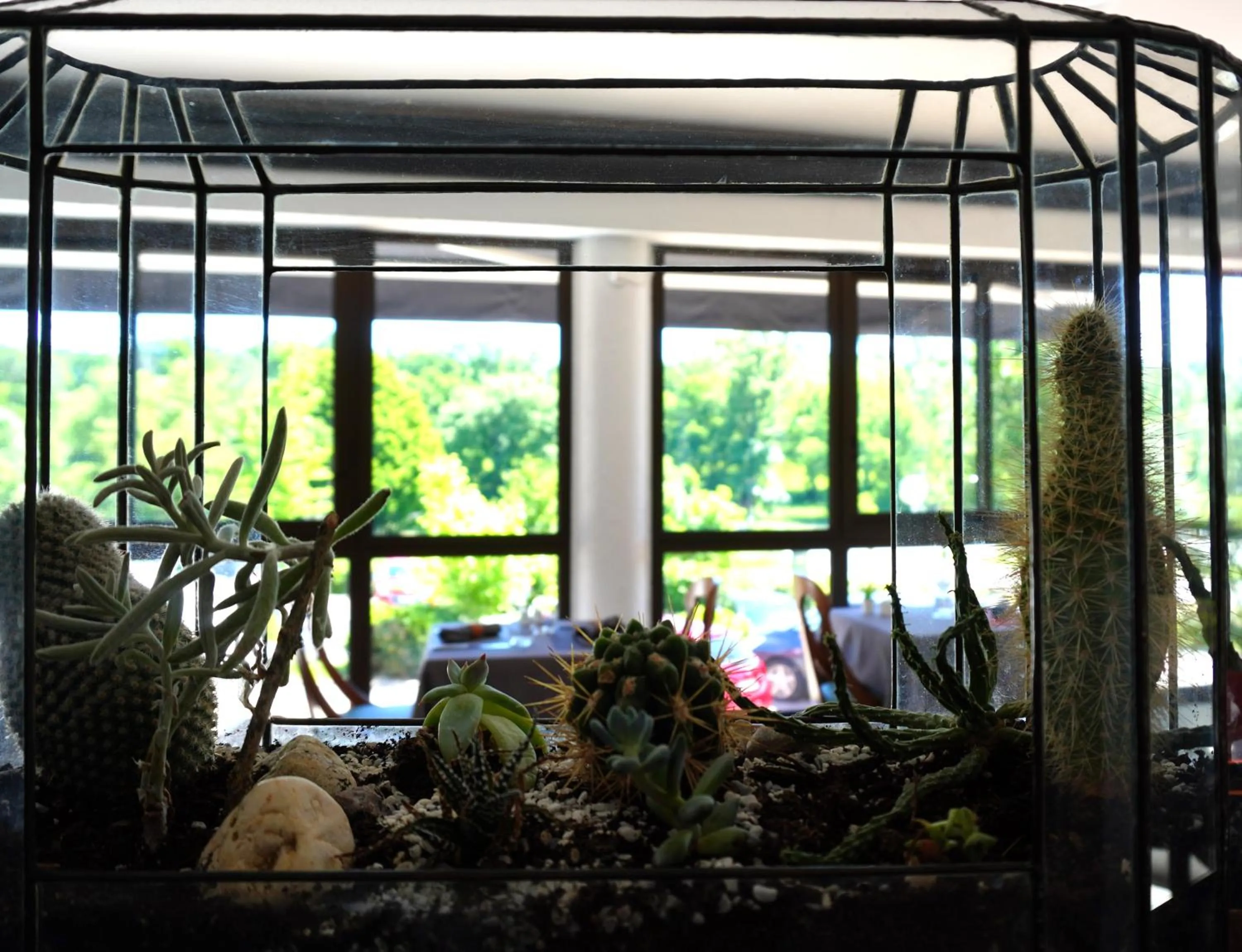 Restaurant/places to eat in Aubergade