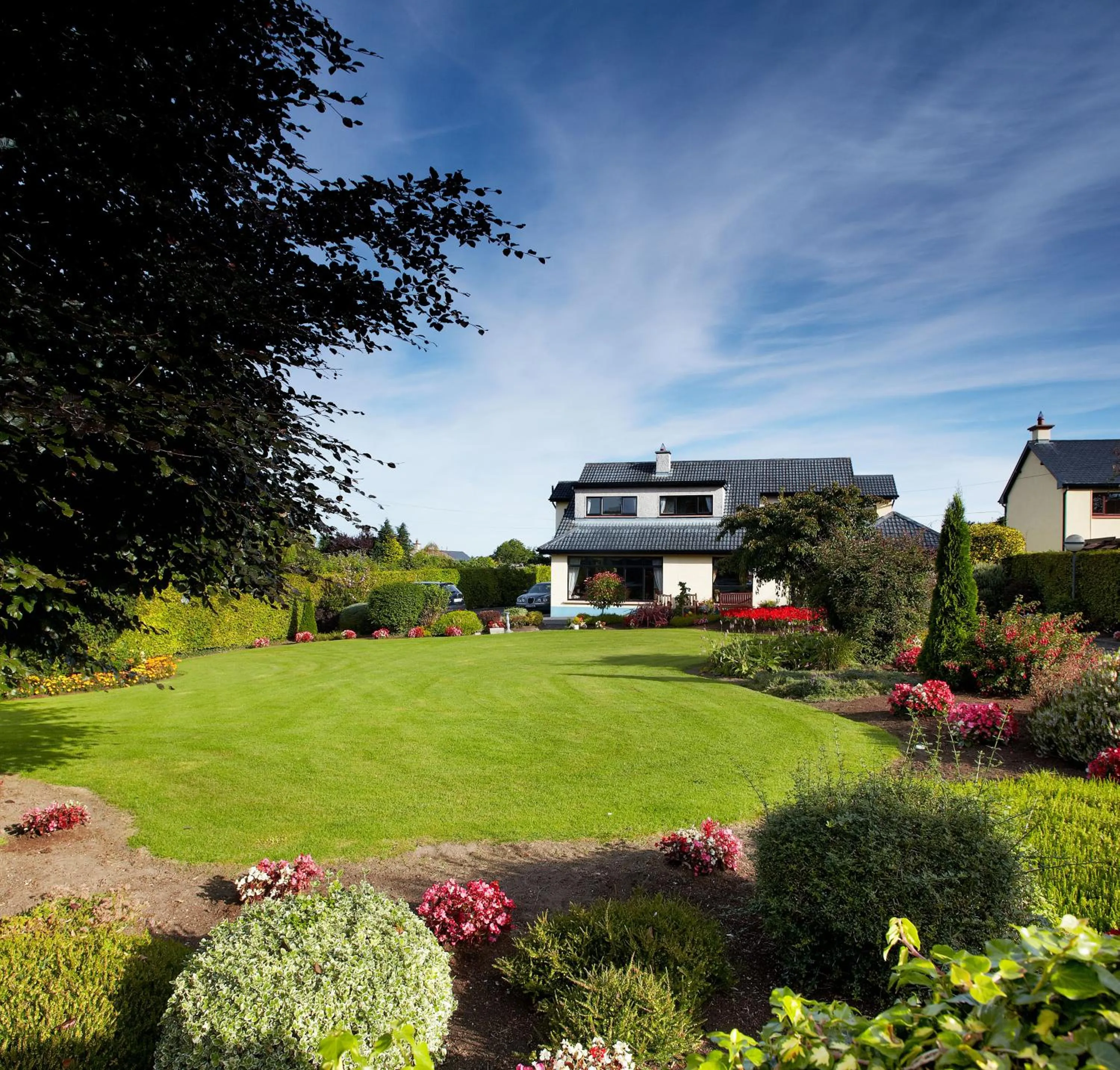 Garden in Shelmalier House