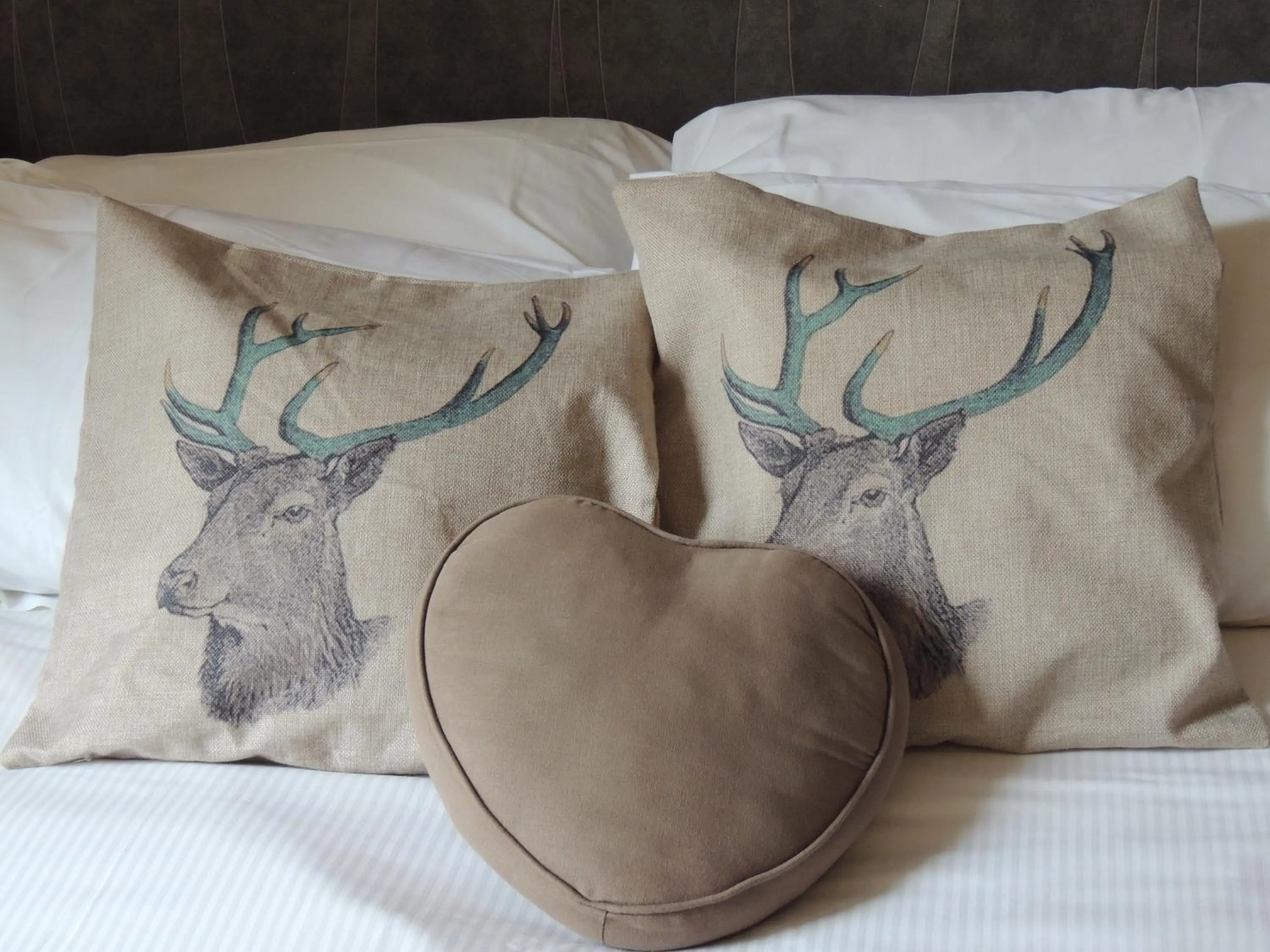 Other, Bed in Logis Hôtel-restaurant Les Coudercous