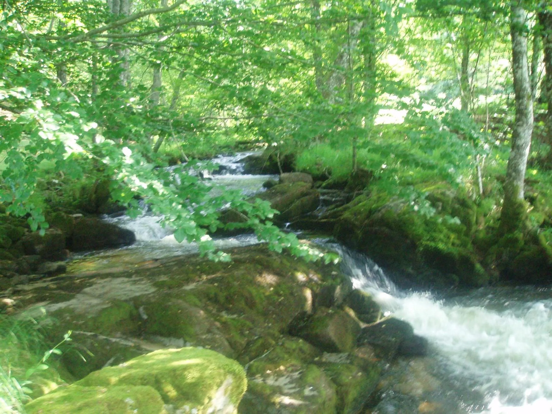Area and facilities in Logis Hôtel-restaurant Les Coudercous