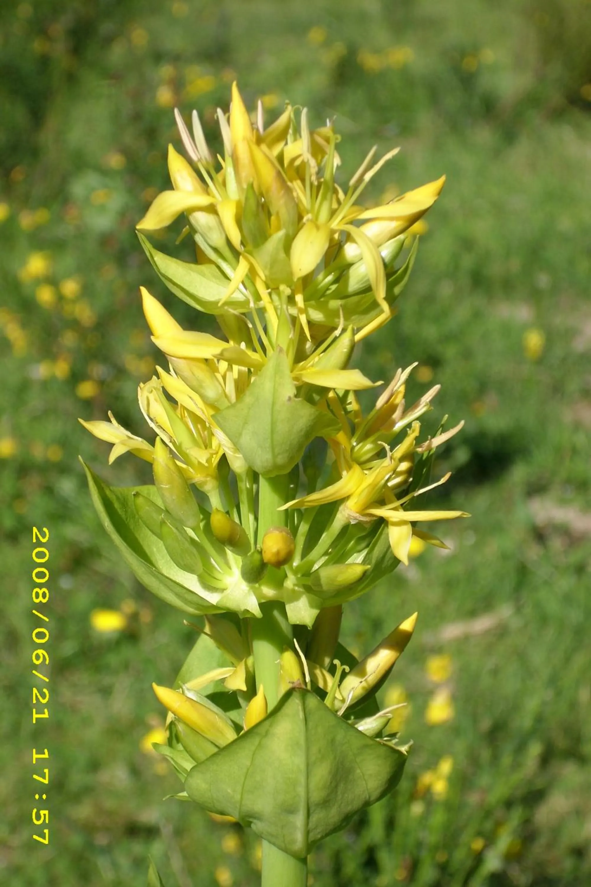 Area and facilities in Logis Hôtel-restaurant Les Coudercous